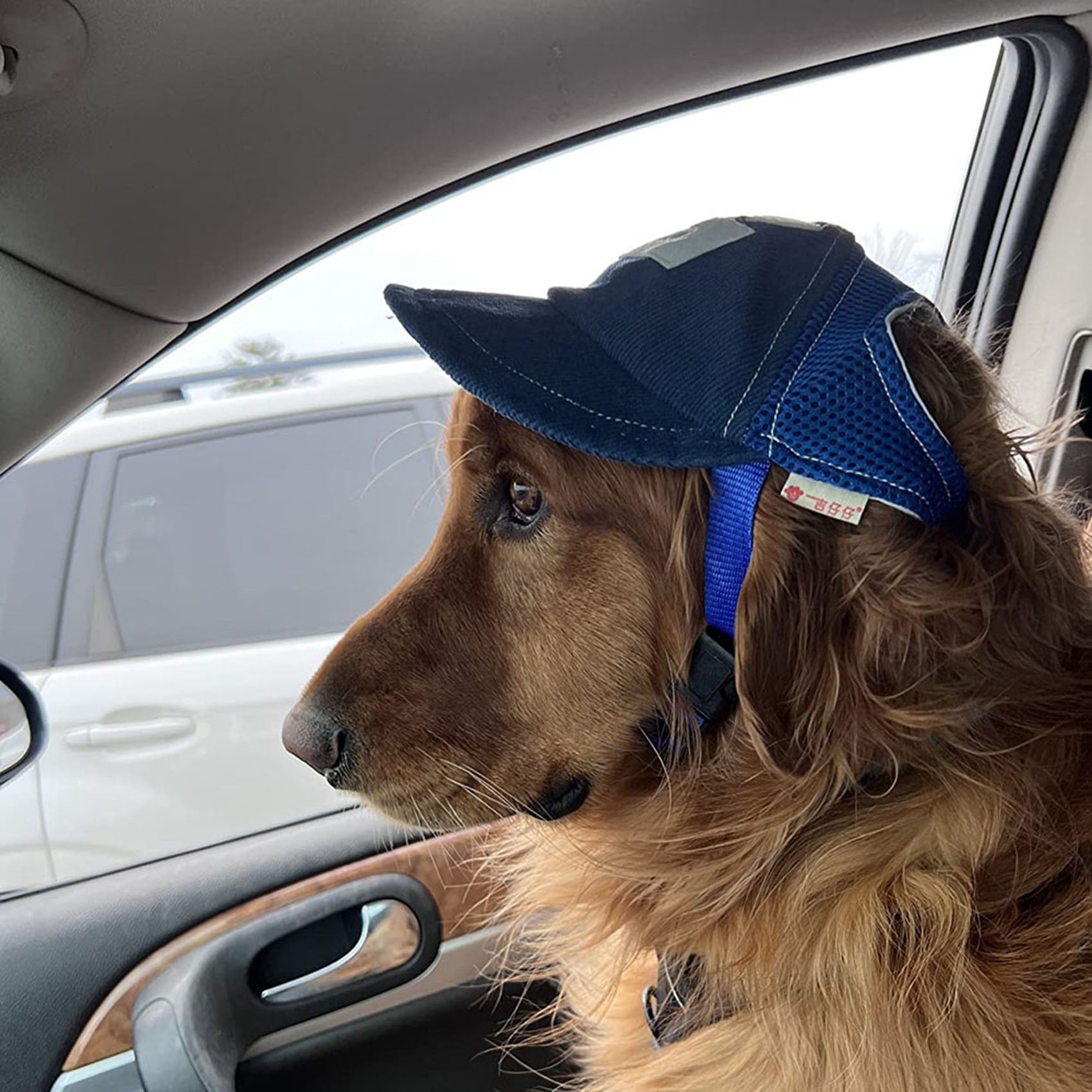Sun Hat with G-Word Dog Design, Travel Sun Hat for Spring and Autumn, Outdoor Sun Protection with Mesh Ventilation, Pet Themed Baseball Cap