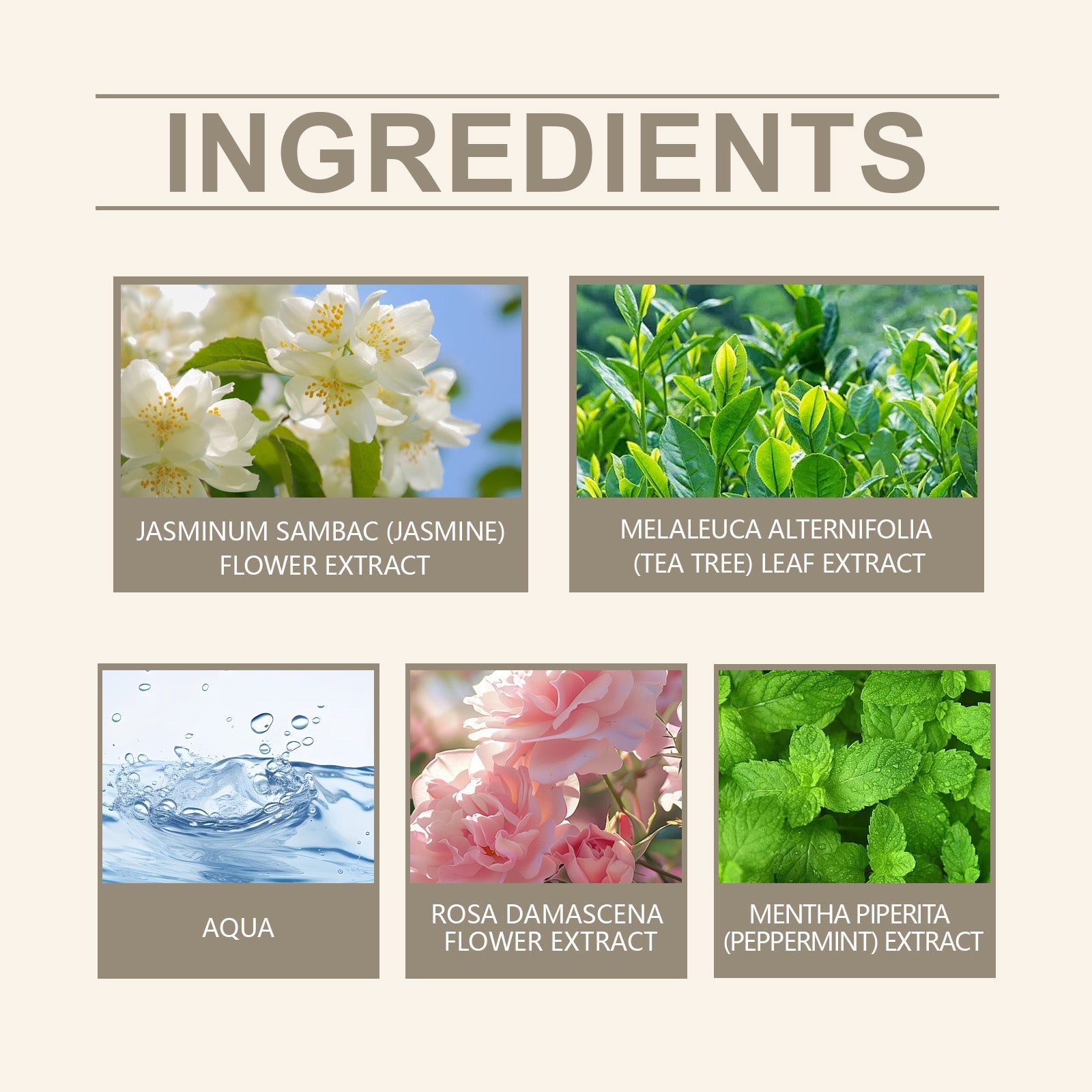 Charm Perfume Spray, Keep Fragrance Fresh And Elegant Wrist, Neck And Behind The Ears Charm Perfume Spray