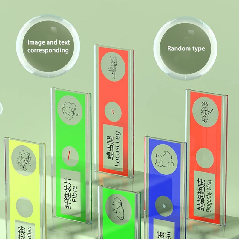 Handheld portable with screen can take photos microscope children&