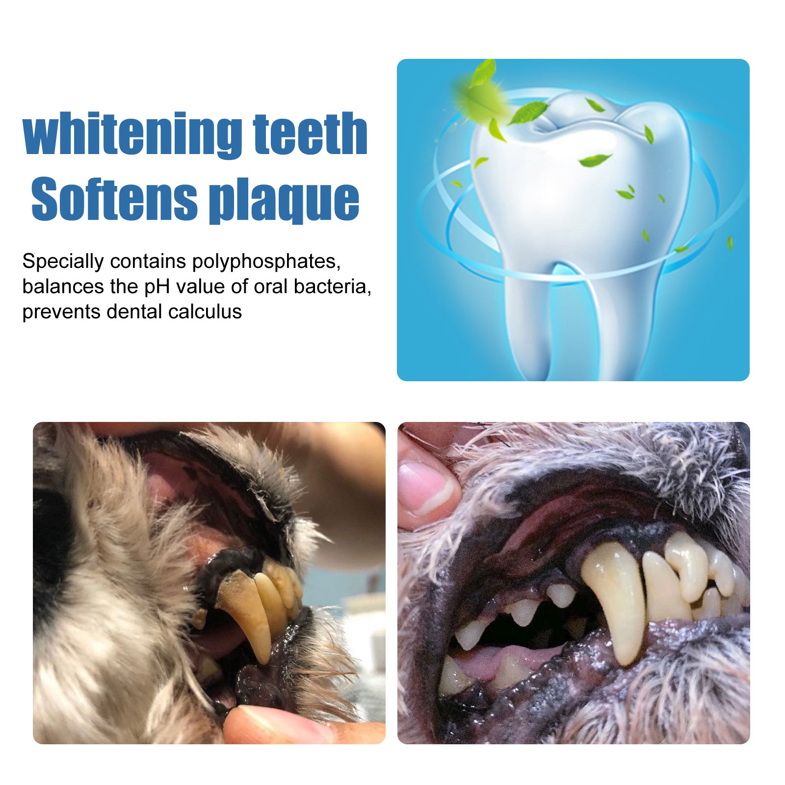 Pet Tartar & Teeth Cleaner