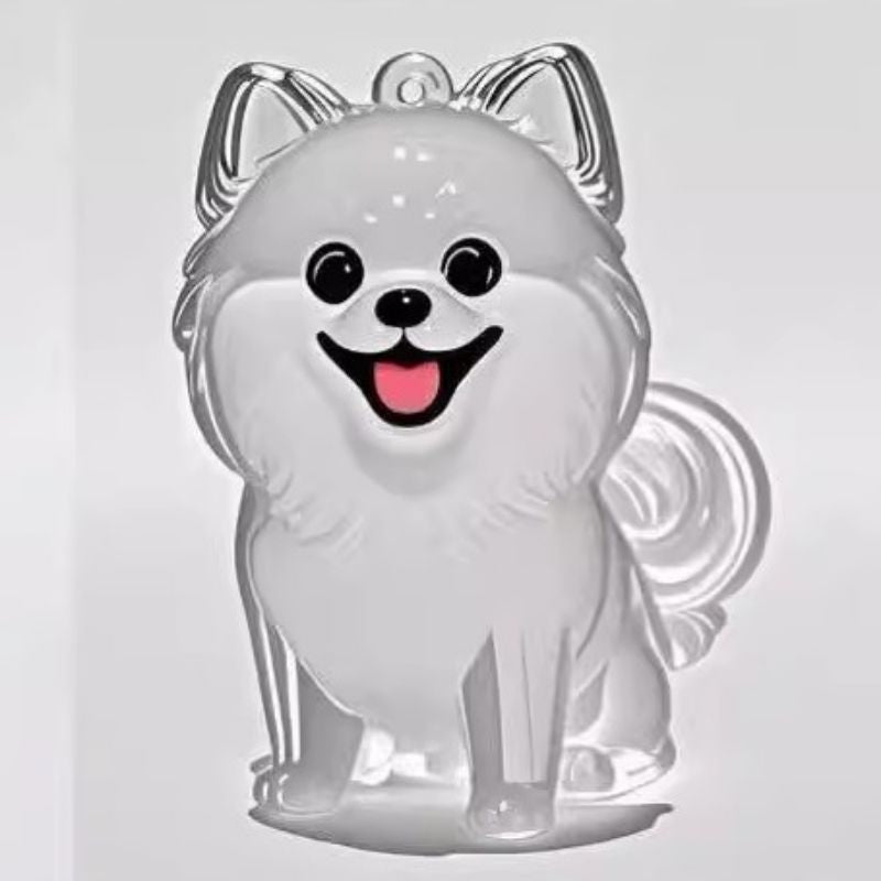 A transparent DIY pet hair memorial keychain box, a sweet keepsake for dog lovers.