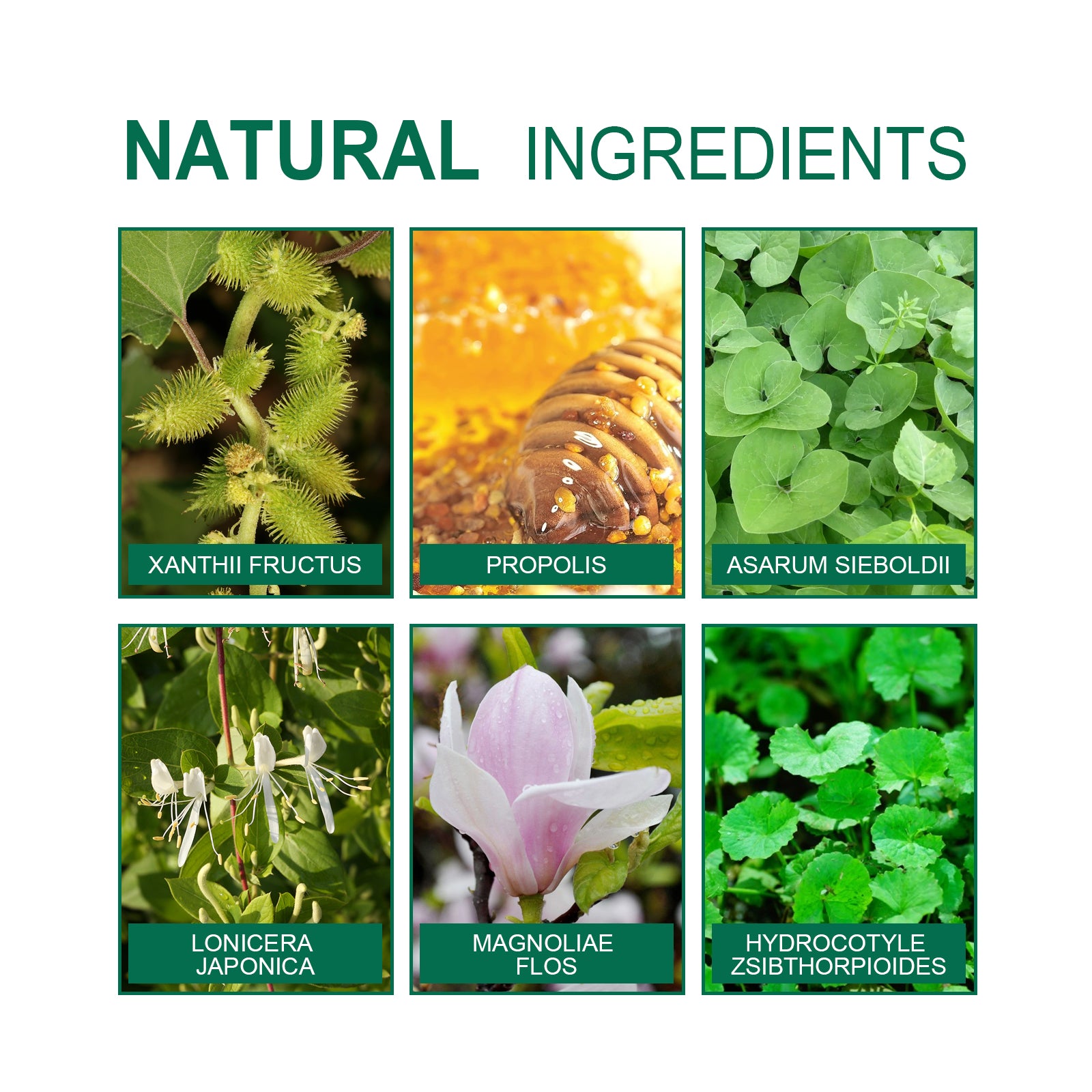 Organic Herbal Lung Cleanse Repair Patch, Relieve Nasal Discomfort Nasal Cleansing Repair Body Care