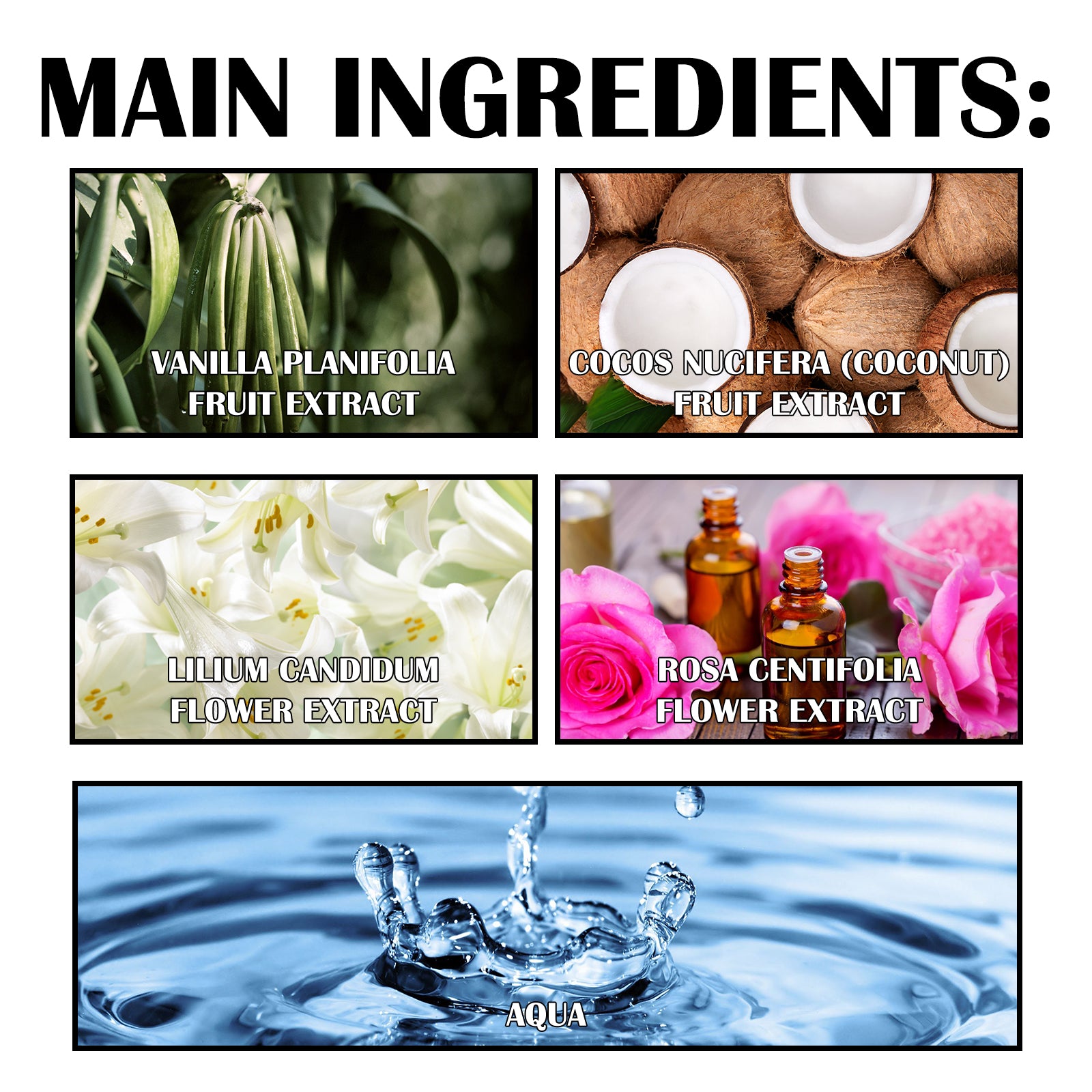 Premium Lily Perfume, Women&