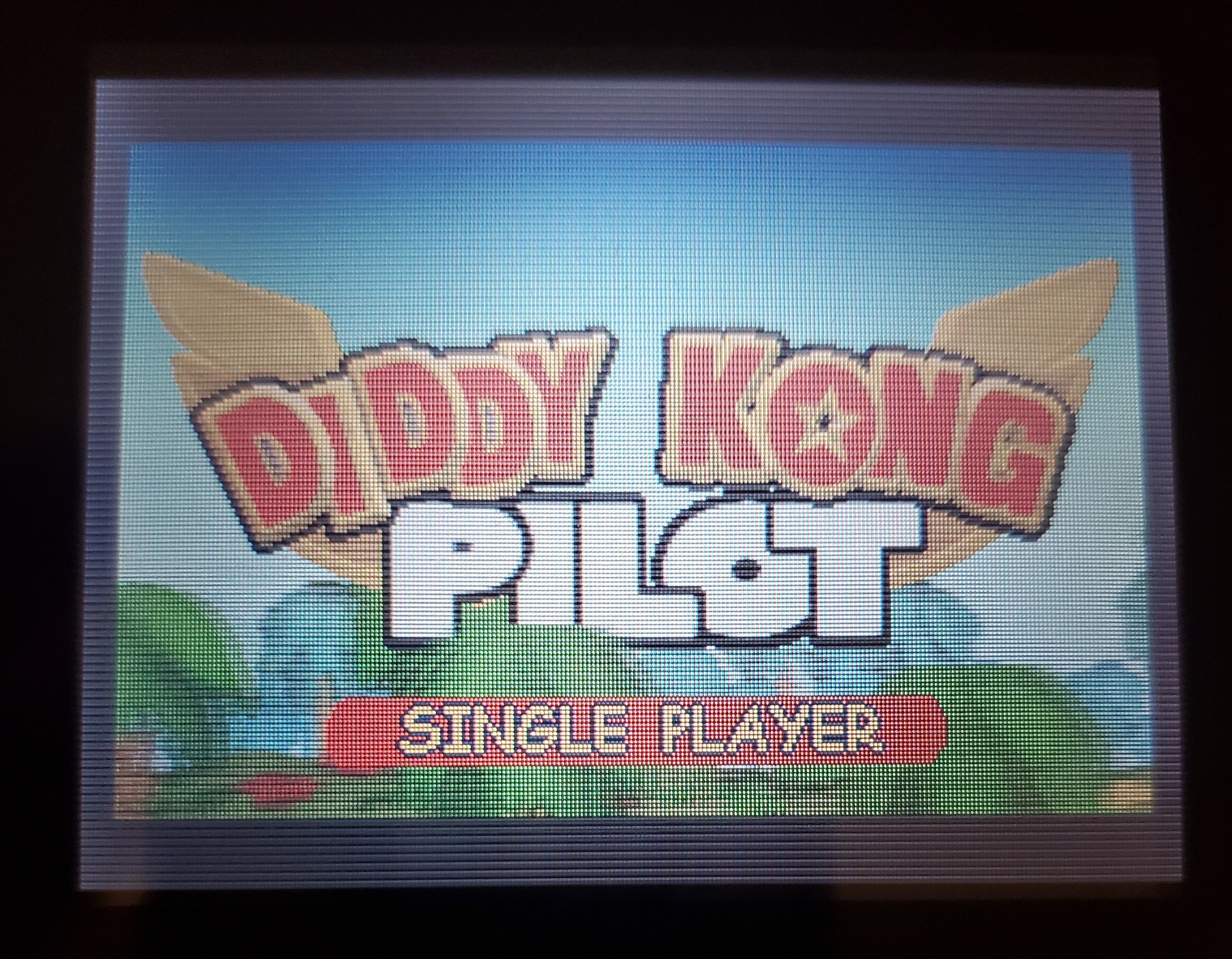 Diddy Kong Pilot GBA Video Game Boy Advance Nintendo