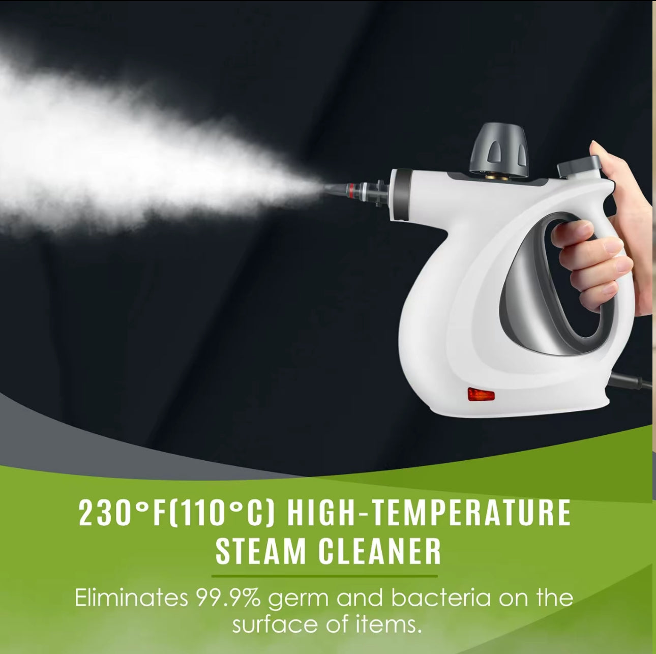 SteamPure Handheld Cleaner