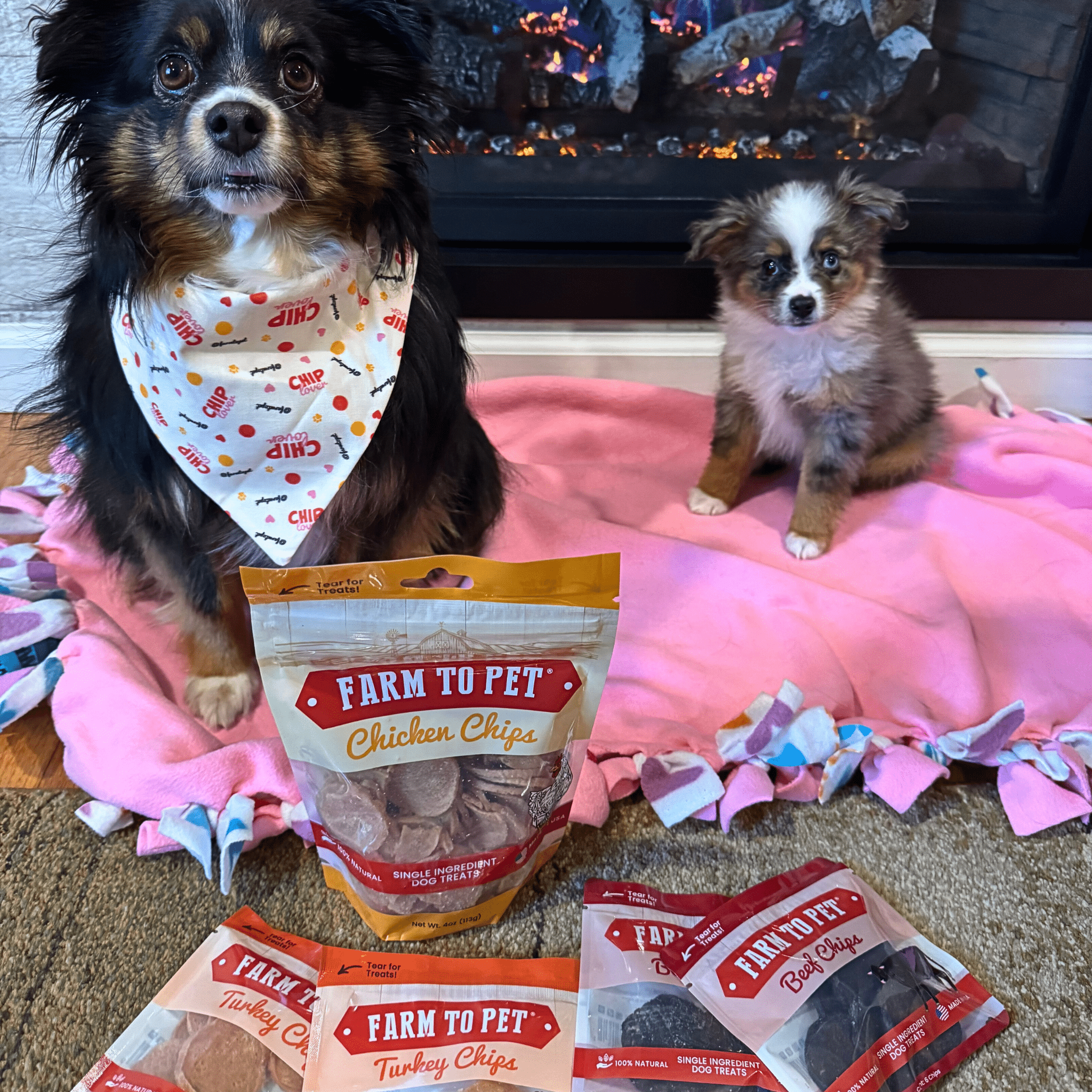 Puppy Packs &