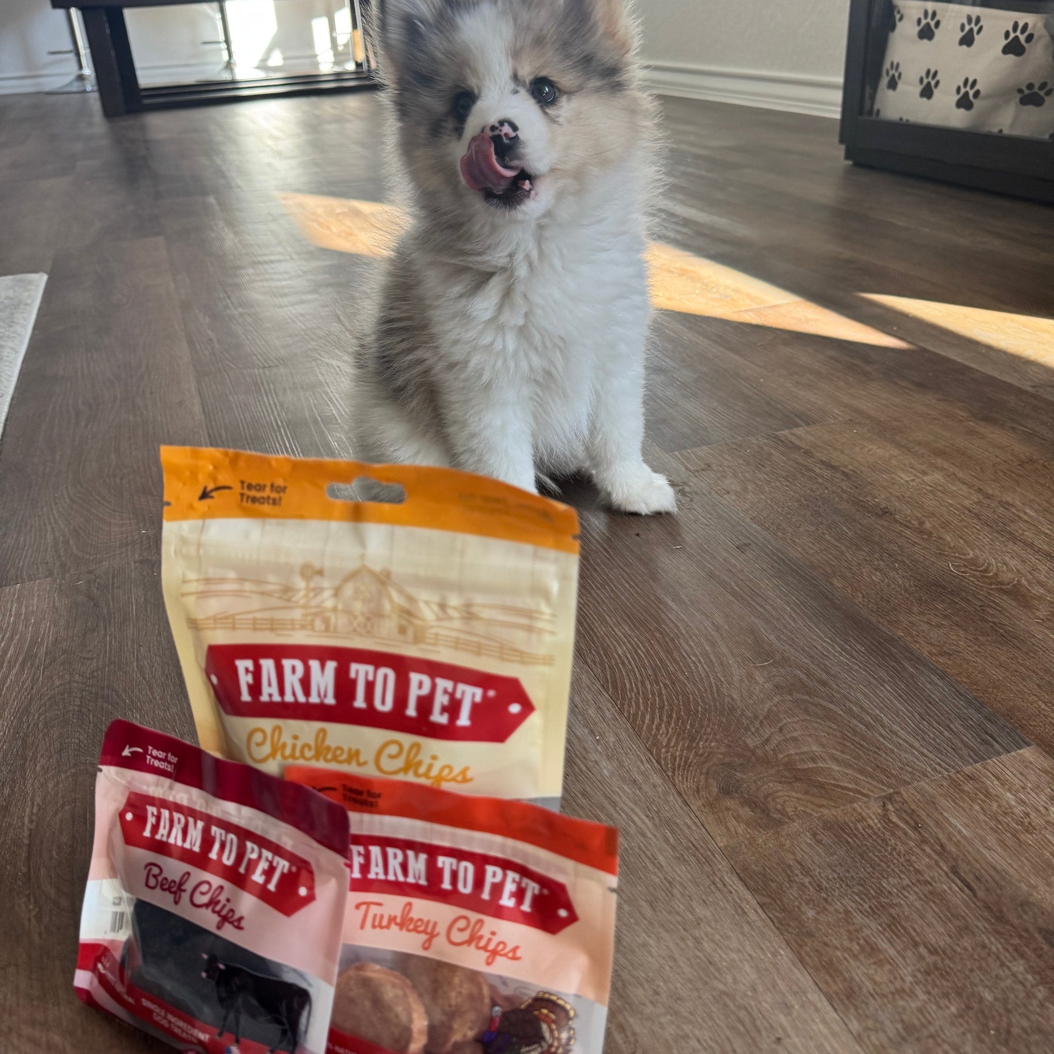 Puppy Packs &