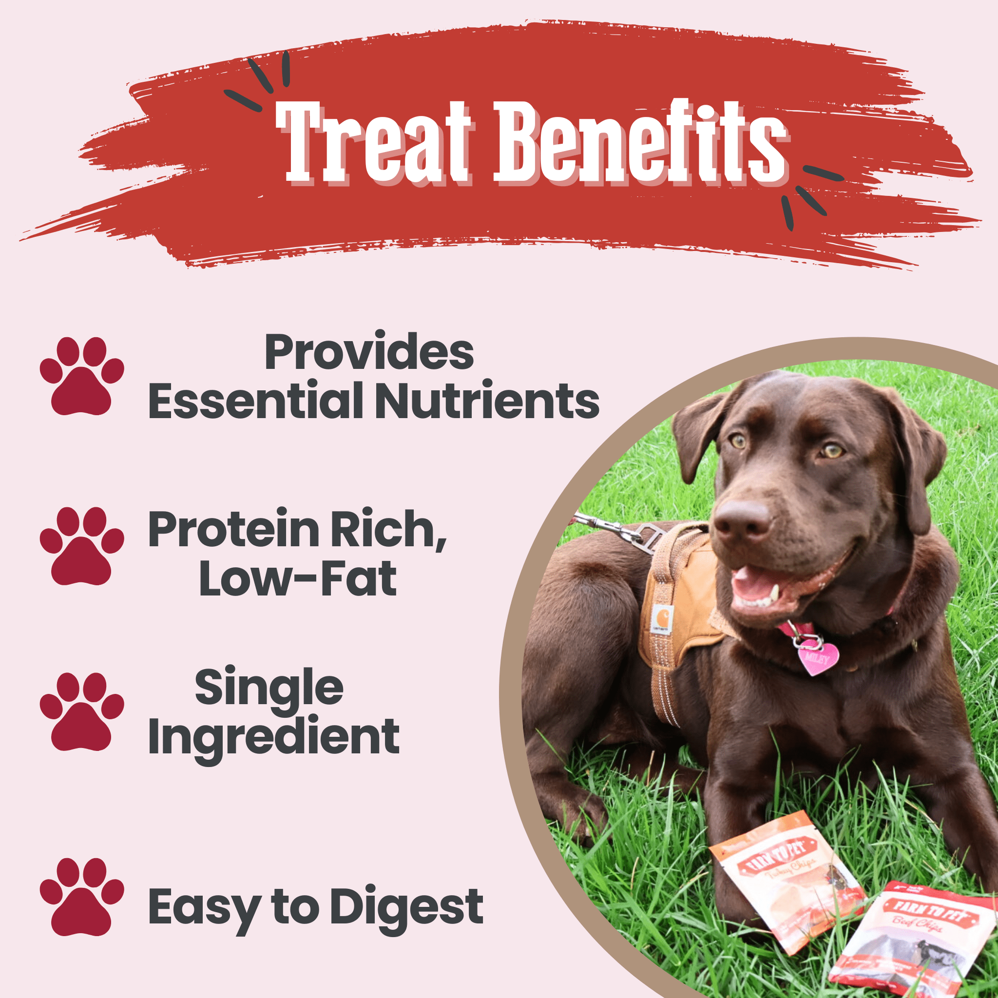 Puppy Packs &