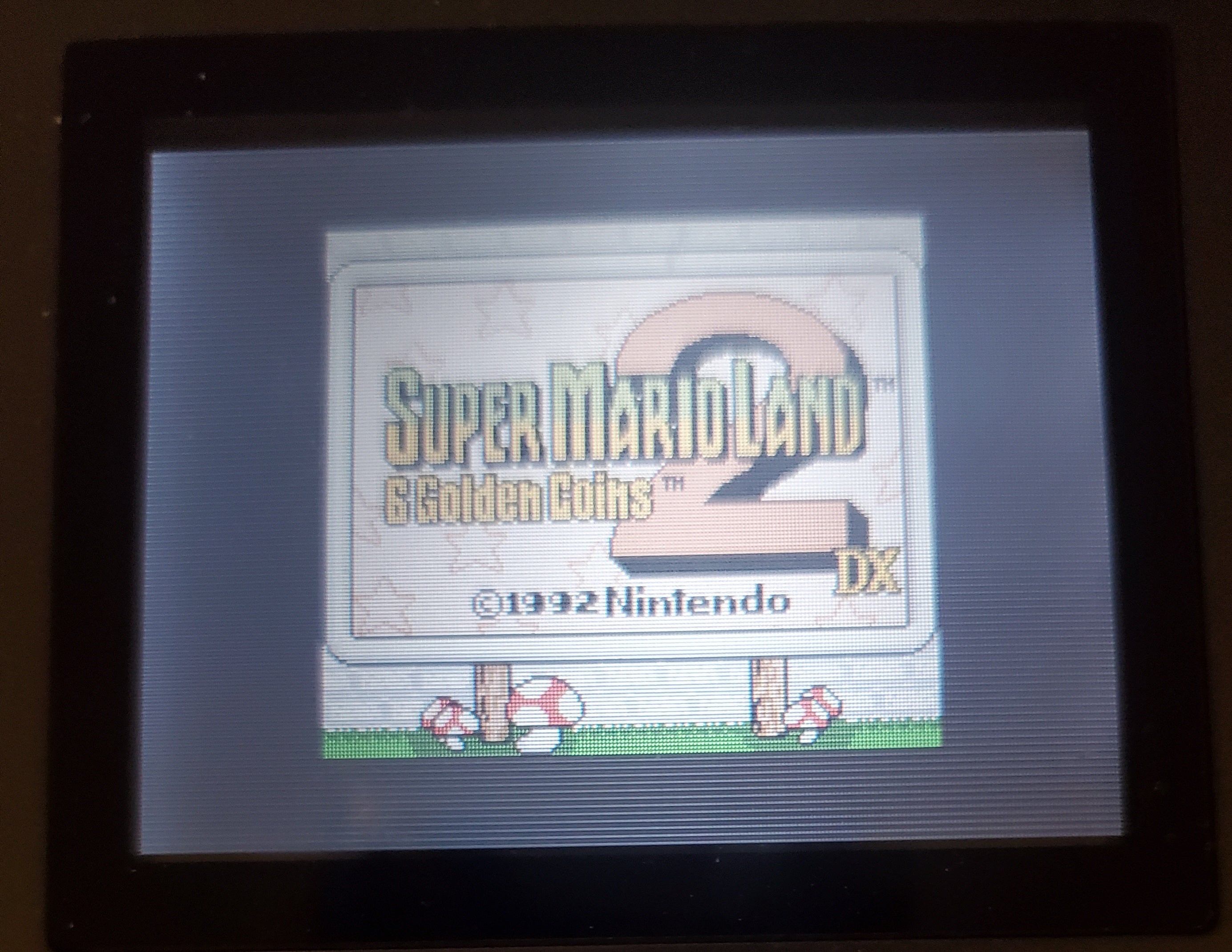 Super Mario Land 6 Golden Coins DX GBA Video Game Boy Advance