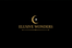 Elusive Wonders