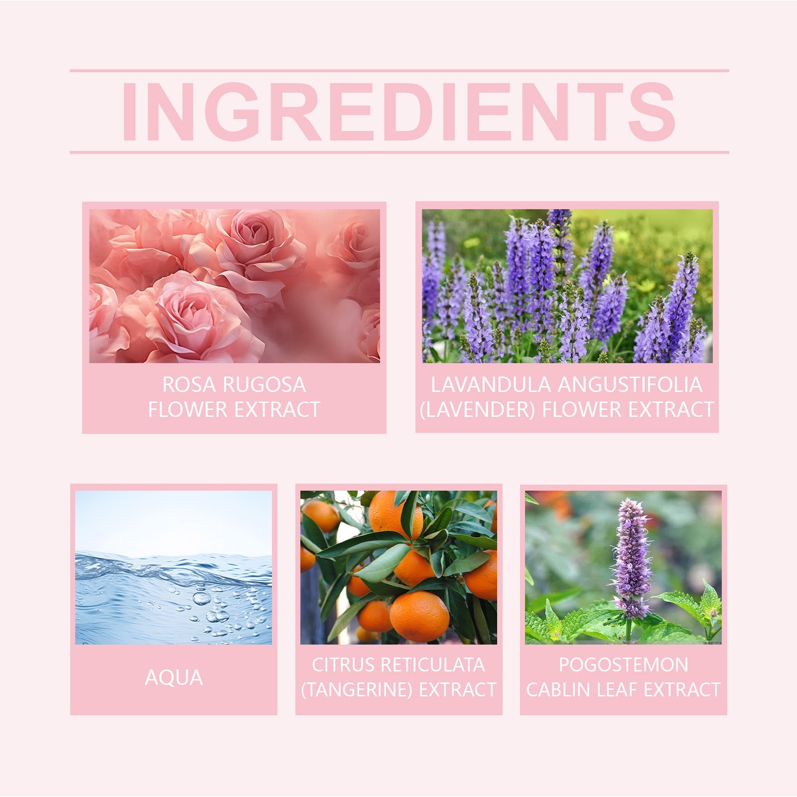 Pink Rose Fragrance Essential Oil, Mild Natural Fresh Fragrance Fragrance Portable Women&