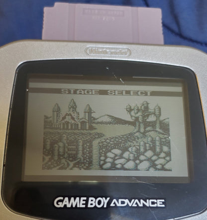 Castlevania 2 Belmont&
