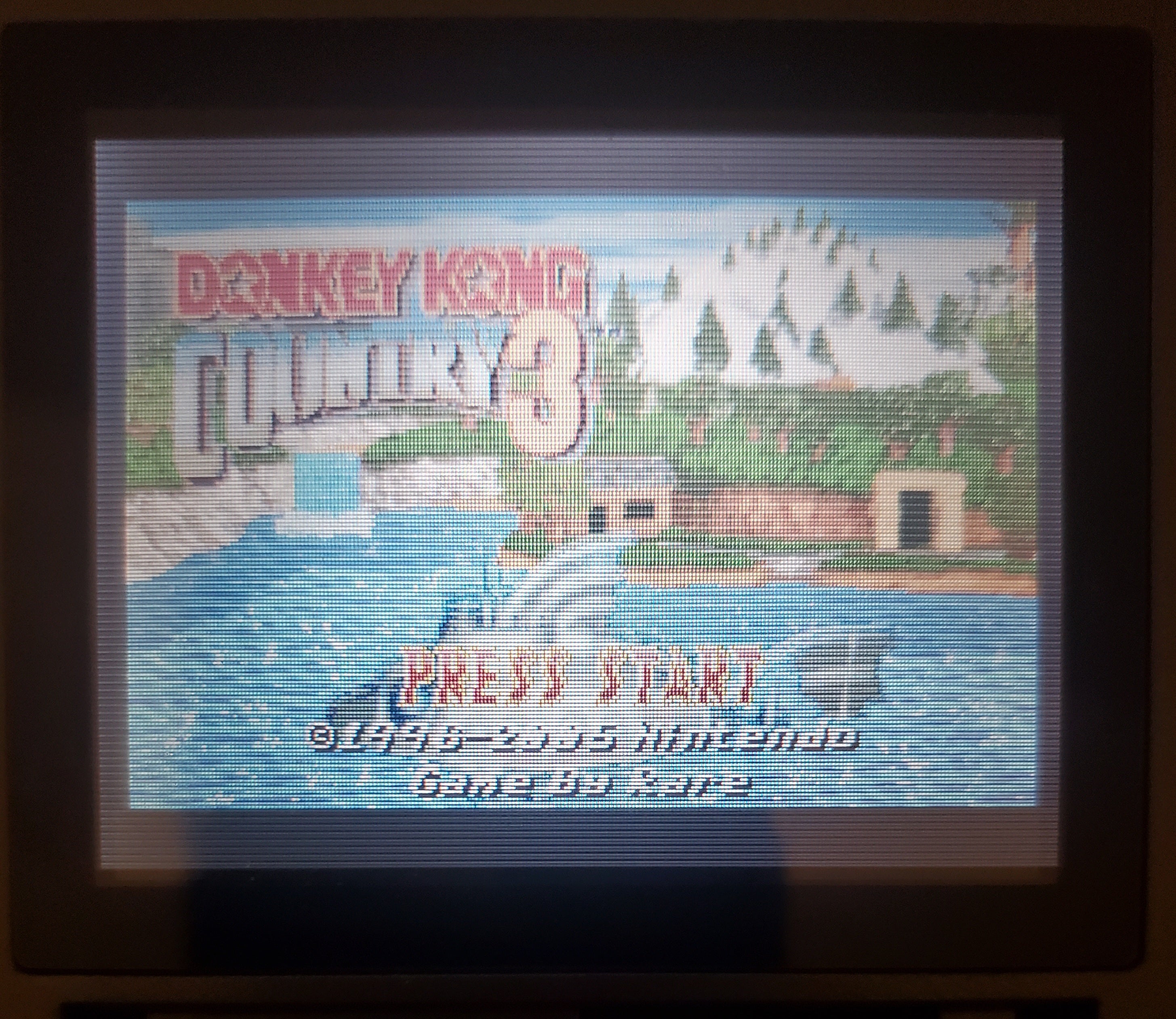 Donkey Kong Country 3 GBA Video Game Nintendo Game Boy Advance 2005