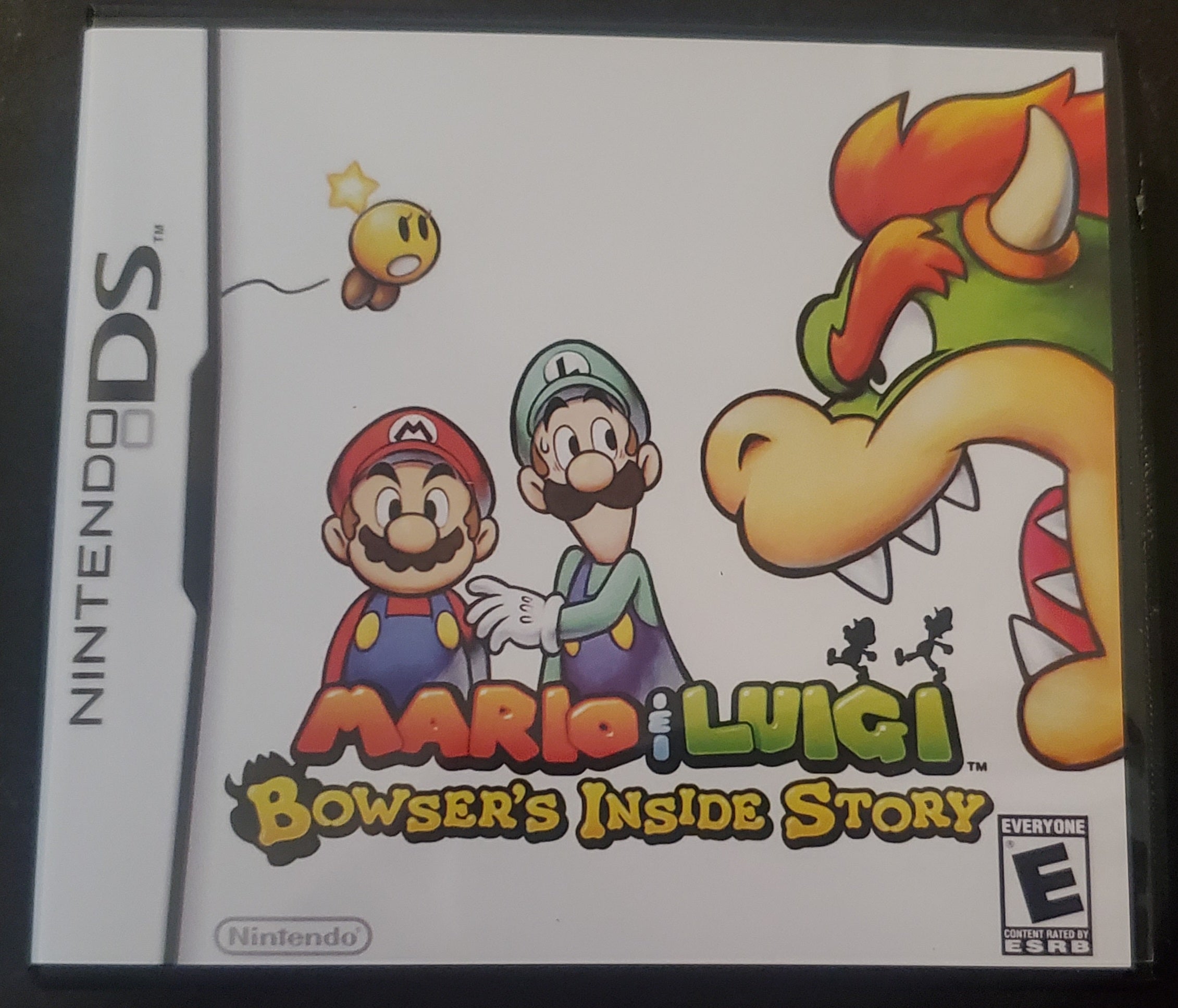 Mario and Luigi Bowser&