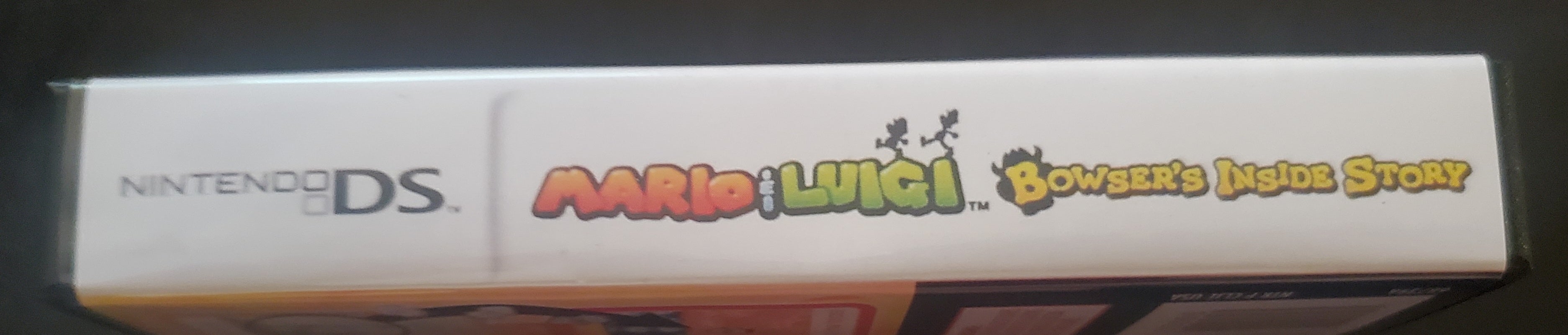 Mario and Luigi Bowser&