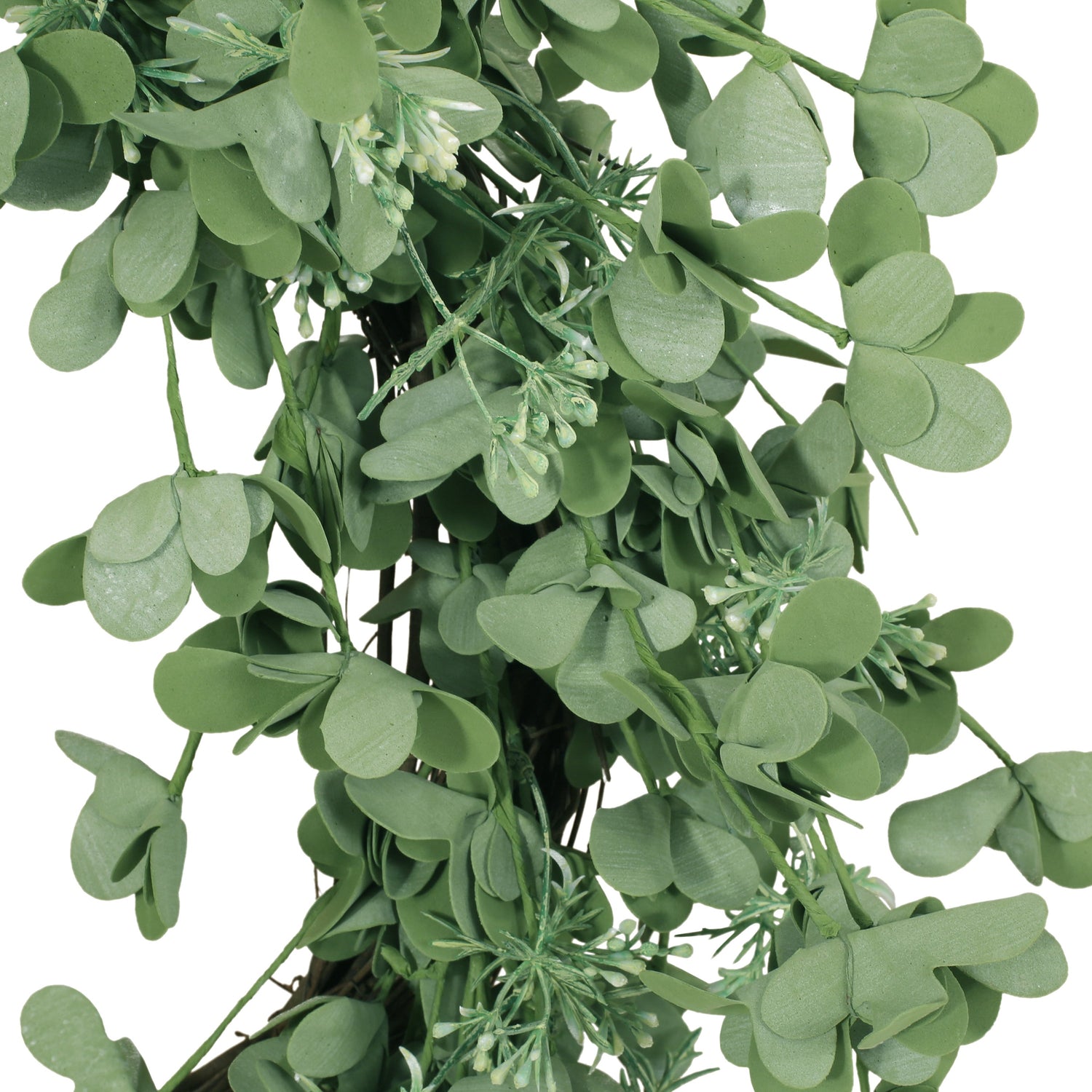 27" OXALIS CORNICULATA WREATH