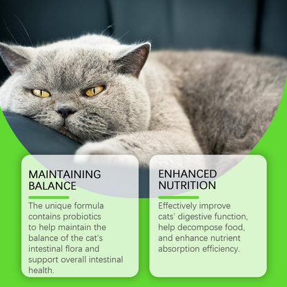 Cats With Probiotic Drops, Care For Cats Health And Vitality Care Absorb Nutritional Supplements