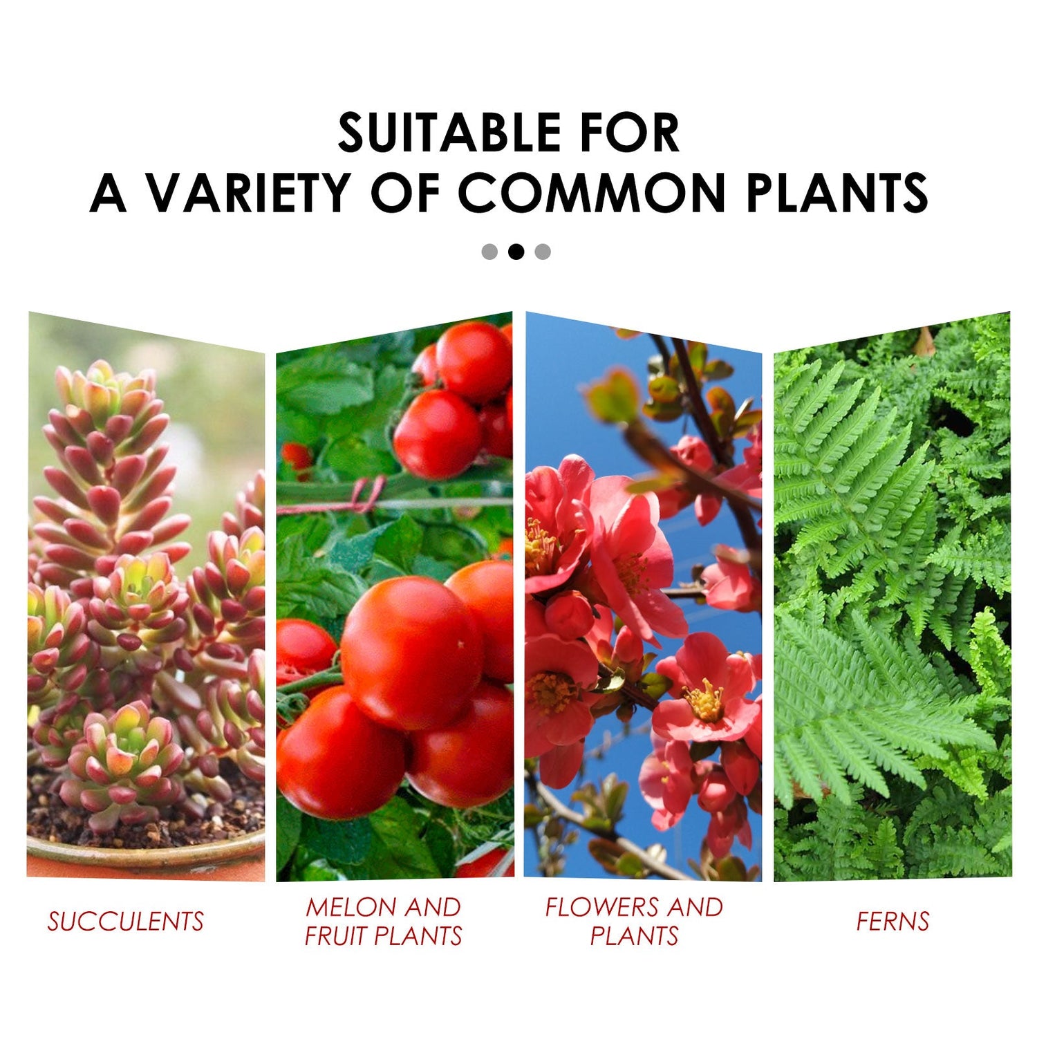 Plant Root Growth Nutrition Tablets