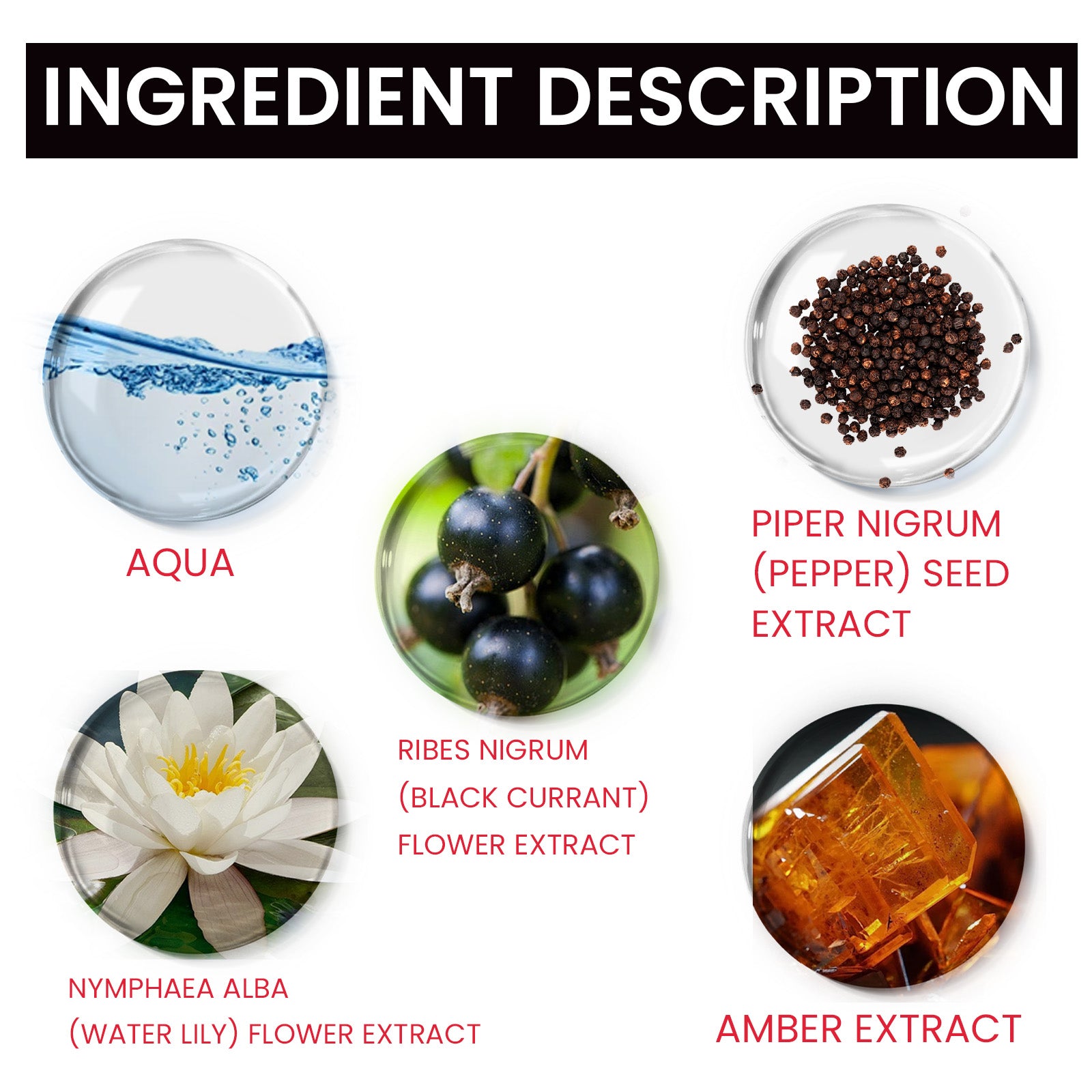 Magnet Pheromone, Lasting Fragrance Elegant Natural Fragrance Not Pungent Women&