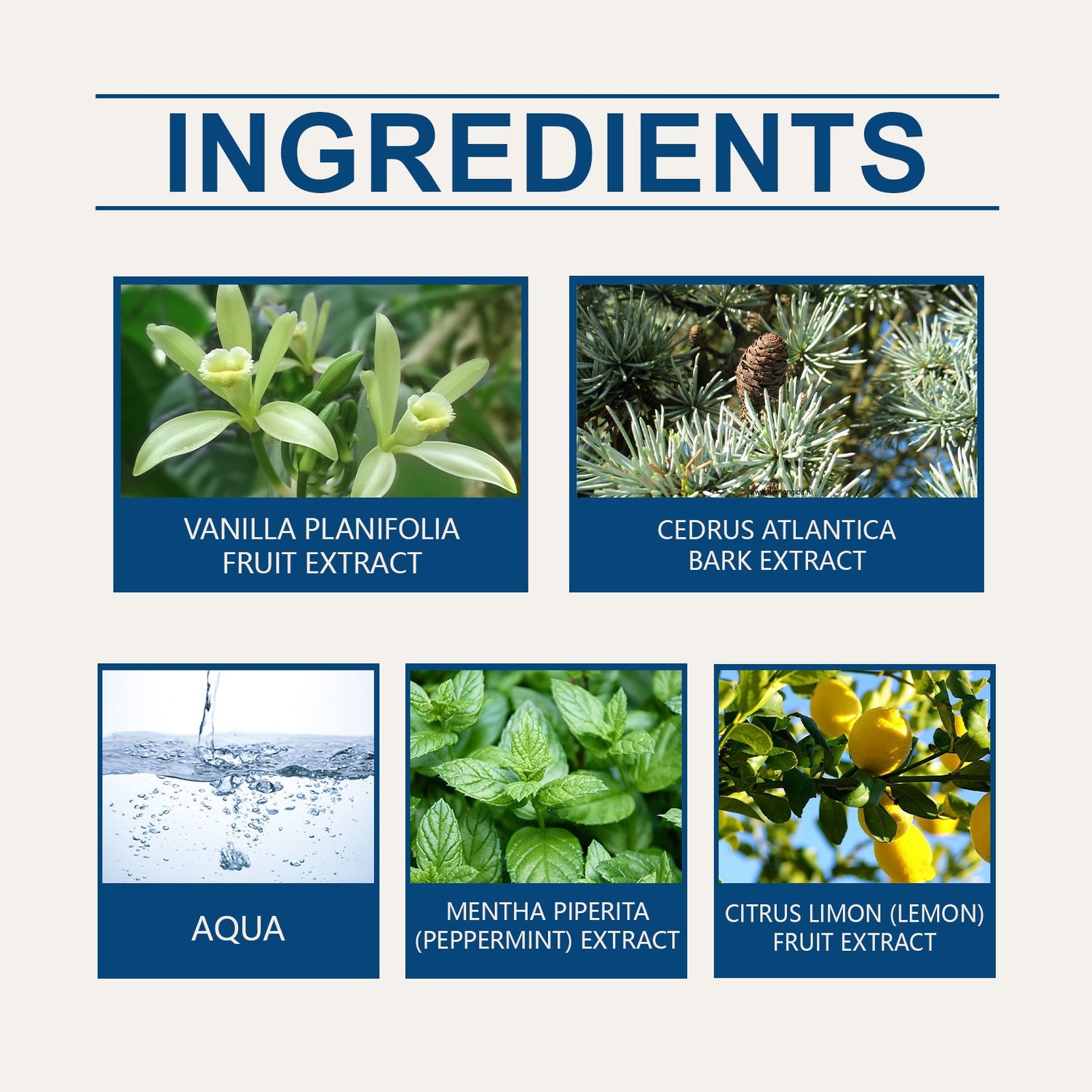 Men&