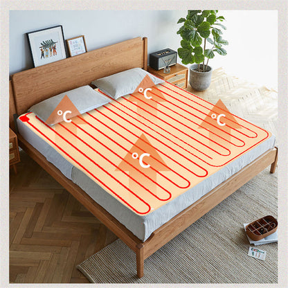 Intelligent Timing Four Gear Temperature Regulating Electric Blanket