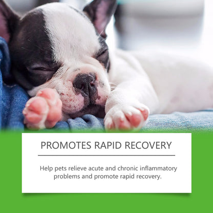 Pet Dog Dietary Supplement