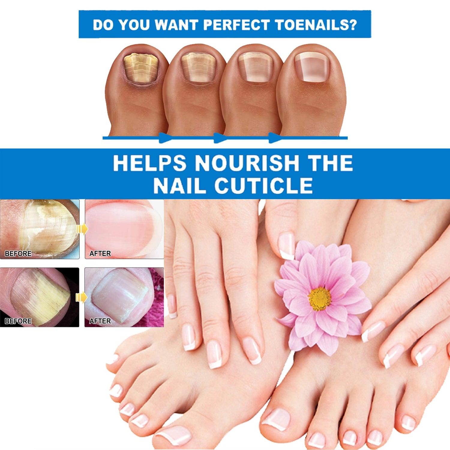 Anti-Aging Hair &amp; Nail Supplement