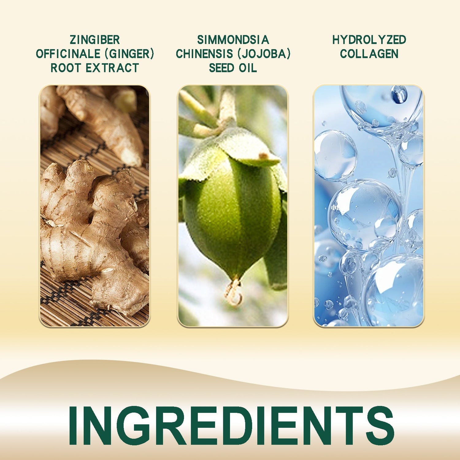 Ginger Hair Ointment, Care For Hair Follicles, Strengthen Hair, Moisturize Hair, Prevent Hair Breakage And Dense Hair Care Cream