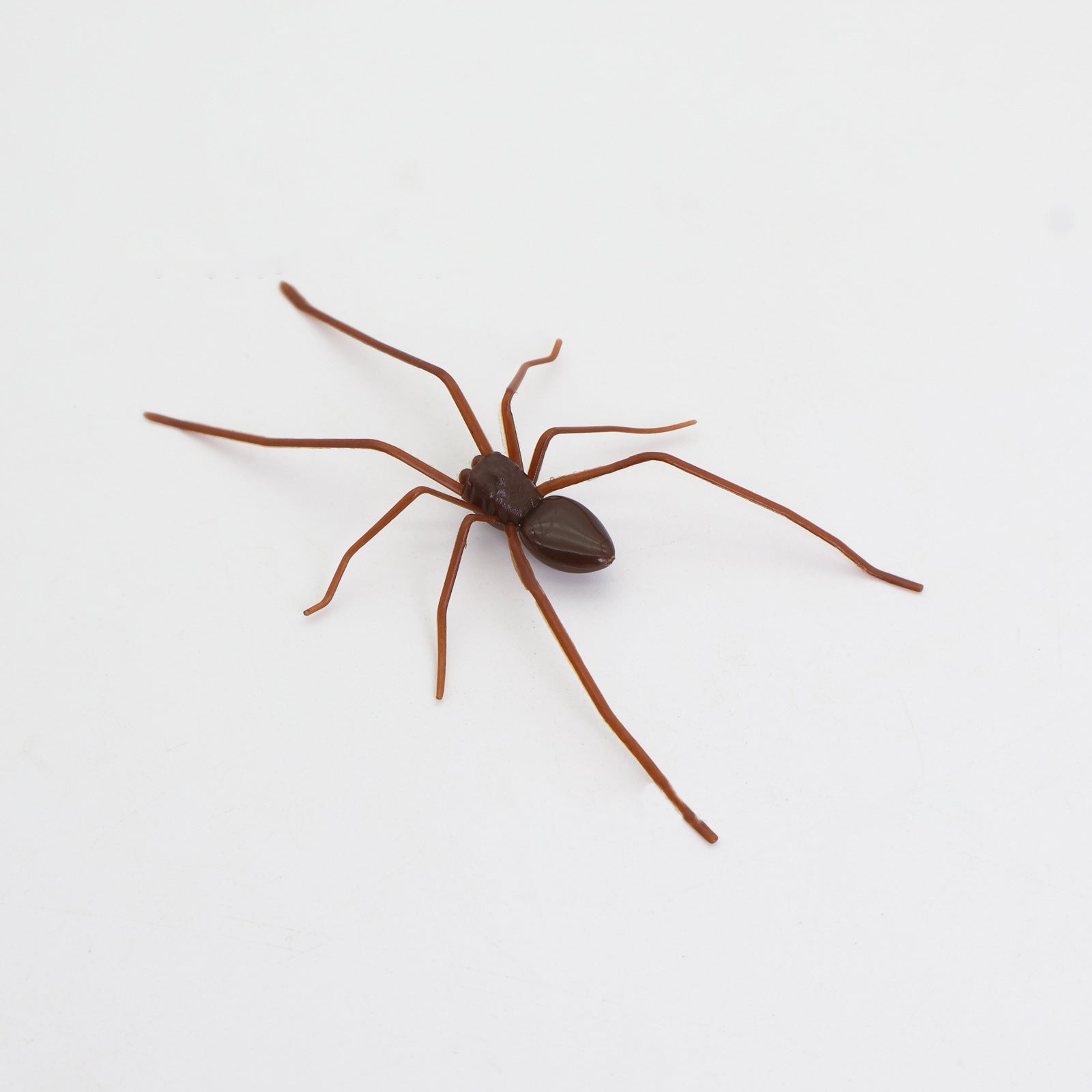 Plastic Spider as Decoration - Novelty Ornament