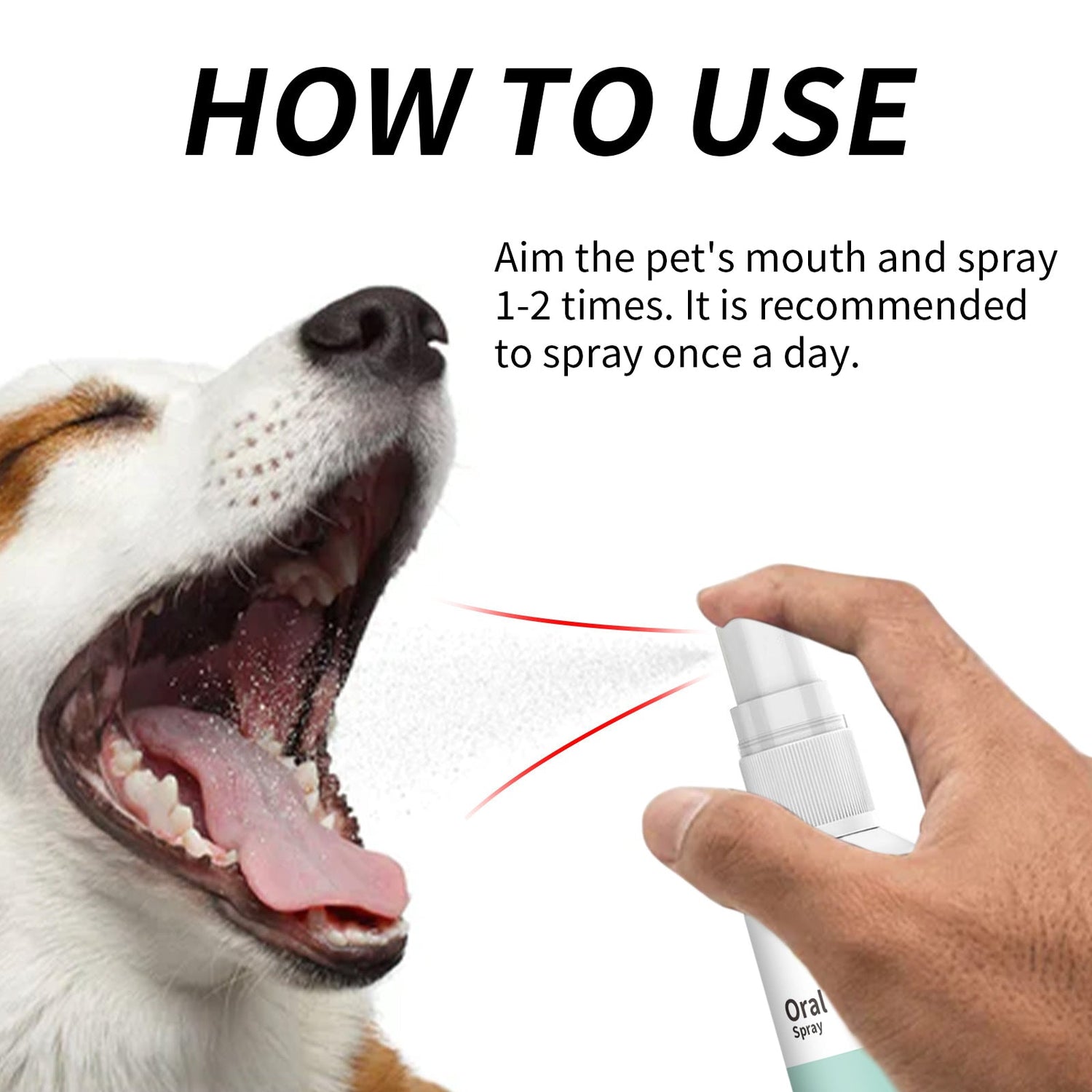 Pet Mint Fresh Breath Spray, Clean Your Dog&
