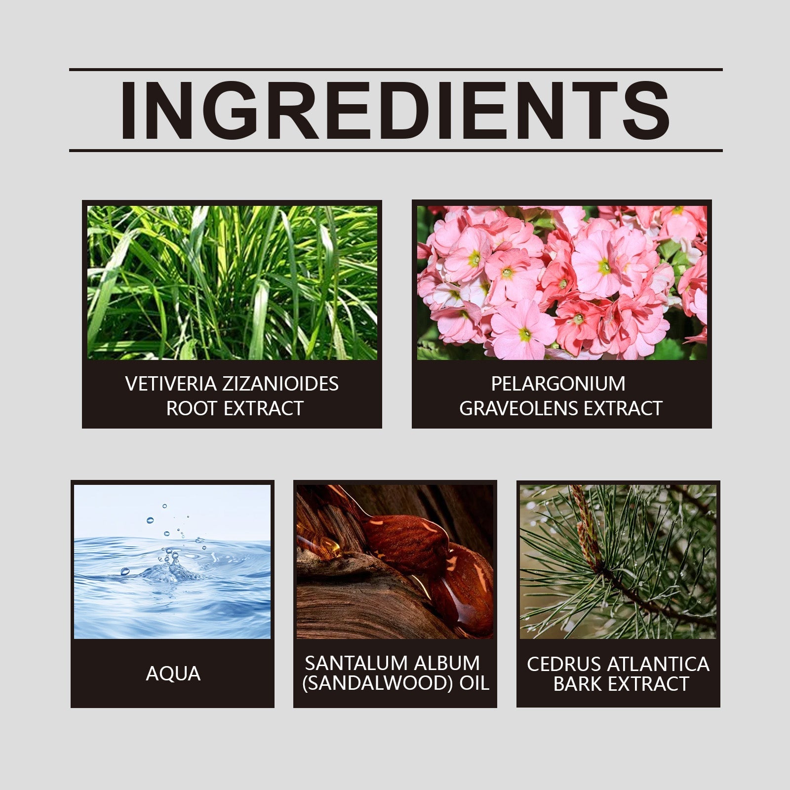 Geranium Inspired Perfume Unique Floral Fragrance Light Fragrance Light Fragrance Elegant Hormonal Fragrance Niche Perfume
