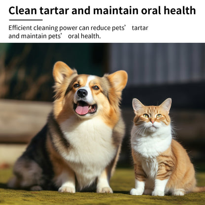 Pet Mint Fresh Breath Spray, Clean Your Dog&