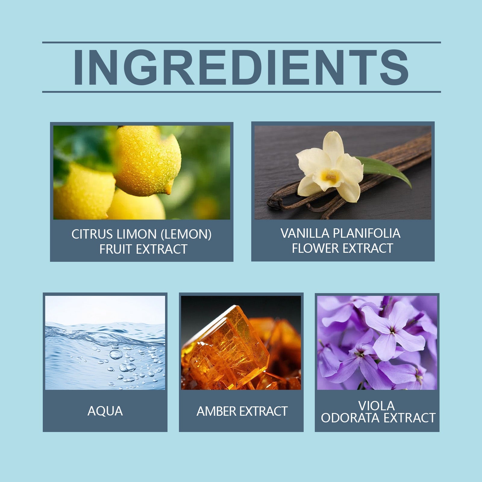 Fresh Amber Wood Perfume, Natural Fresh Lasting Fragrance Charm Amber Fragrance Date Mild Light Elegant Perfume