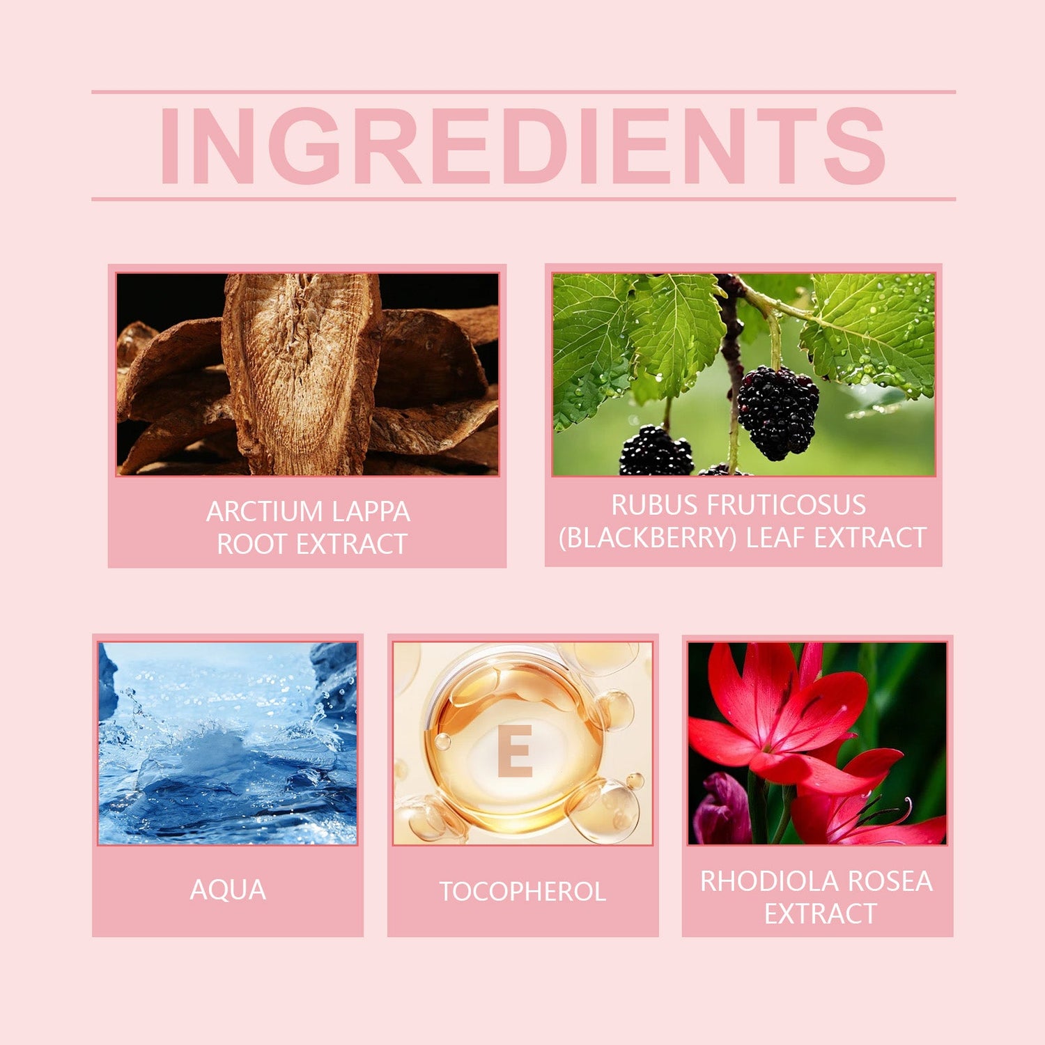 Progesterone Care Lotion Moisturizes, Nourishes, Eases And Improves Gently Moisturizes Skin And Body Balance Care Lotion