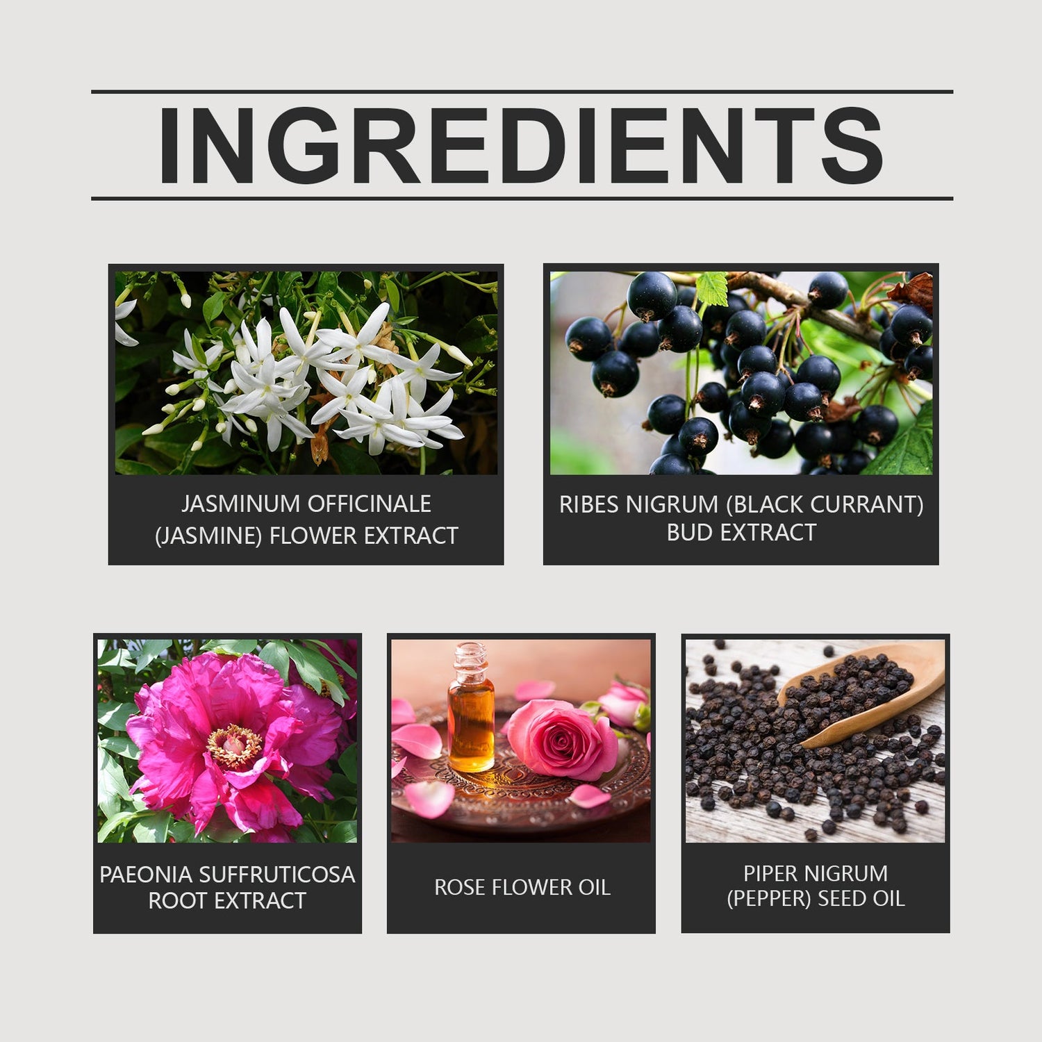 Charm Floral Drops With A Natural, Fresh, Elegant And Long-Lasting Fragrance That Exudes Personality And Charm