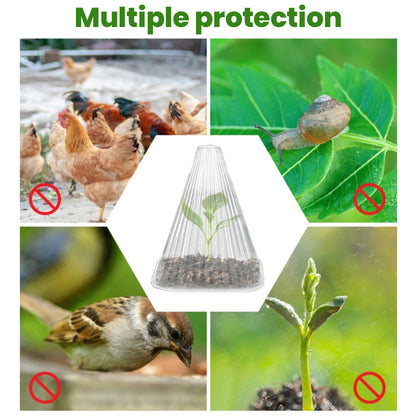 30 Reusable Square Planting Tents. Protect plants from birds, frost &amp; snails.