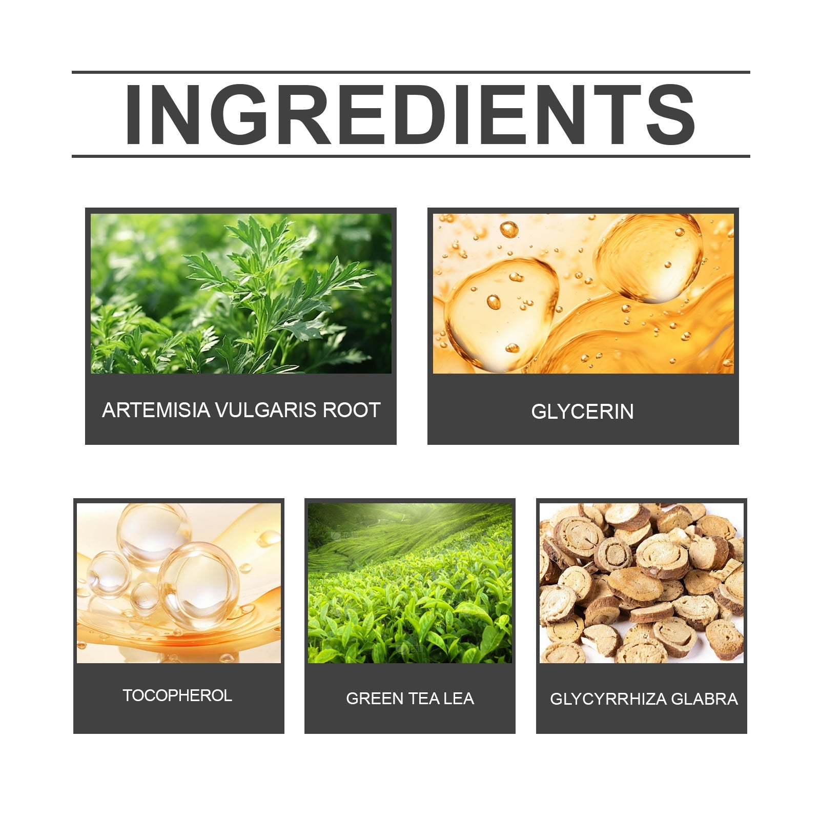 Herbal Care Patch Relieves Discomfort For A Refreshing And Comfortable Experience With Gentle Ingredients
