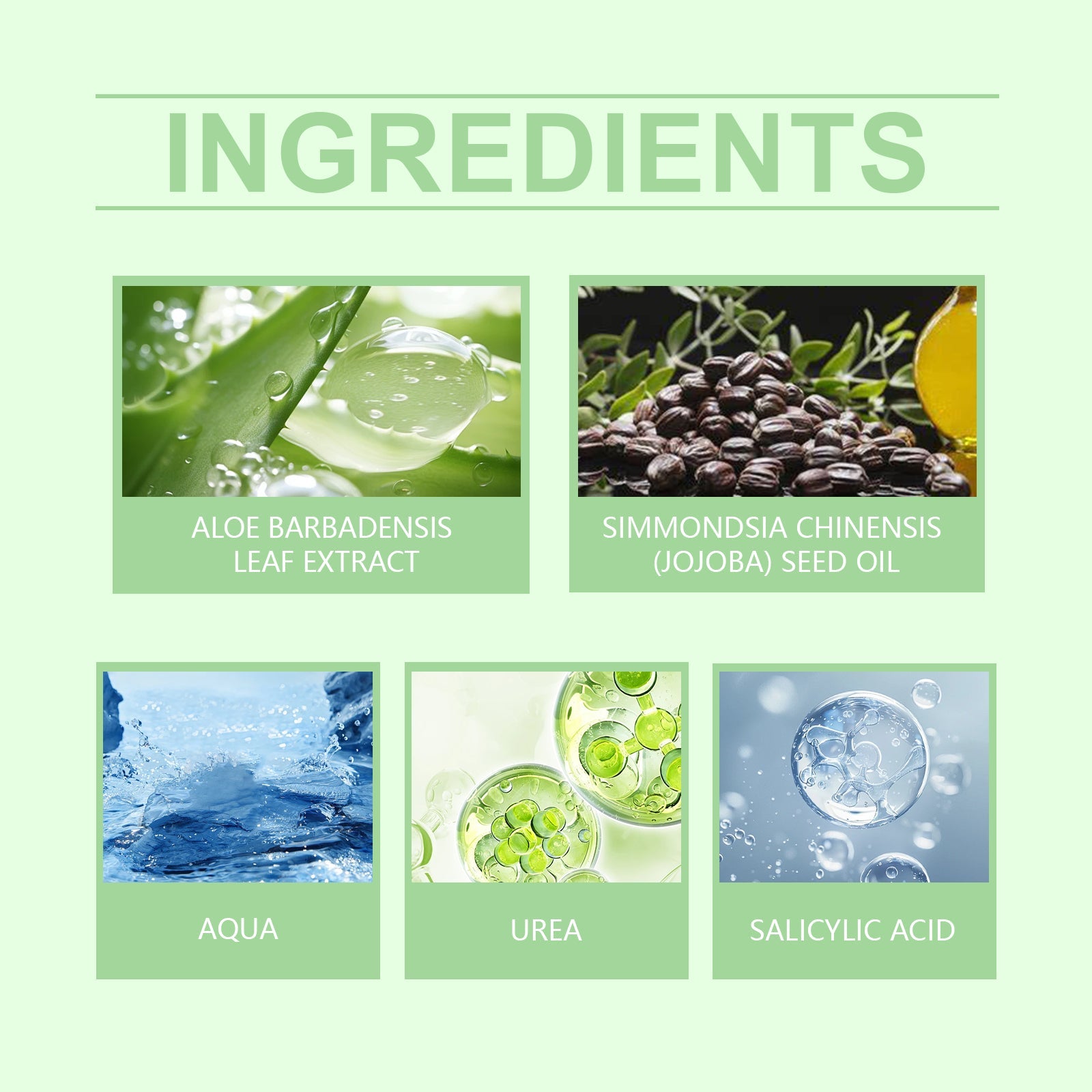Hand And Foot Urea Cream Hydrates And Moisturizes Foot Skin To Prevent Cracking And Drying Foot Cream