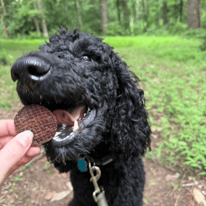 Beef Chips Dog Treats