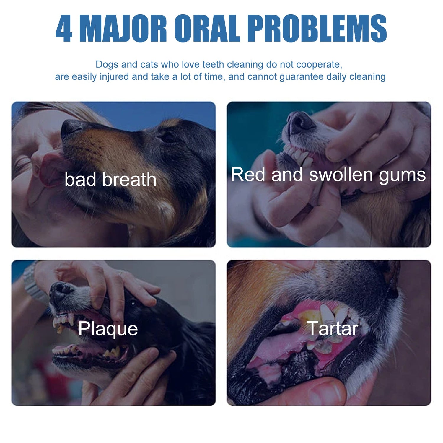 Pet Tartar &amp; Teeth Cleaner
