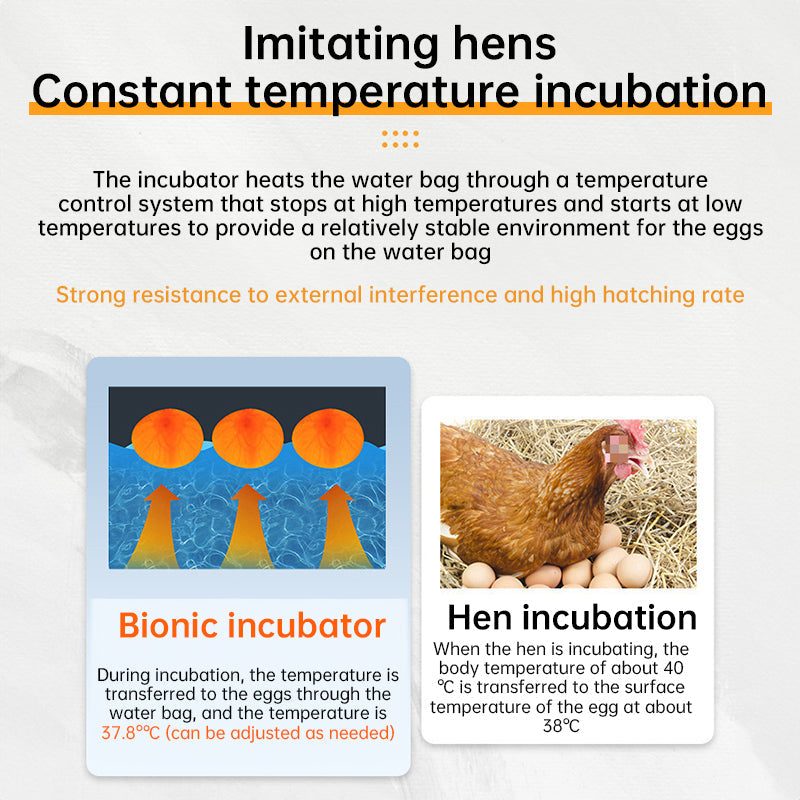 24 - hr Thermostatic Small Poultry Incubator. Biomimetic Waterbed. Auto &amp; Smart. For Chick, Duck &amp; Goose Eggs