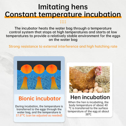 24 - hr Thermostatic Small Poultry Incubator. Biomimetic Waterbed. Auto &amp; Smart. For Chick, Duck &amp; Goose Eggs