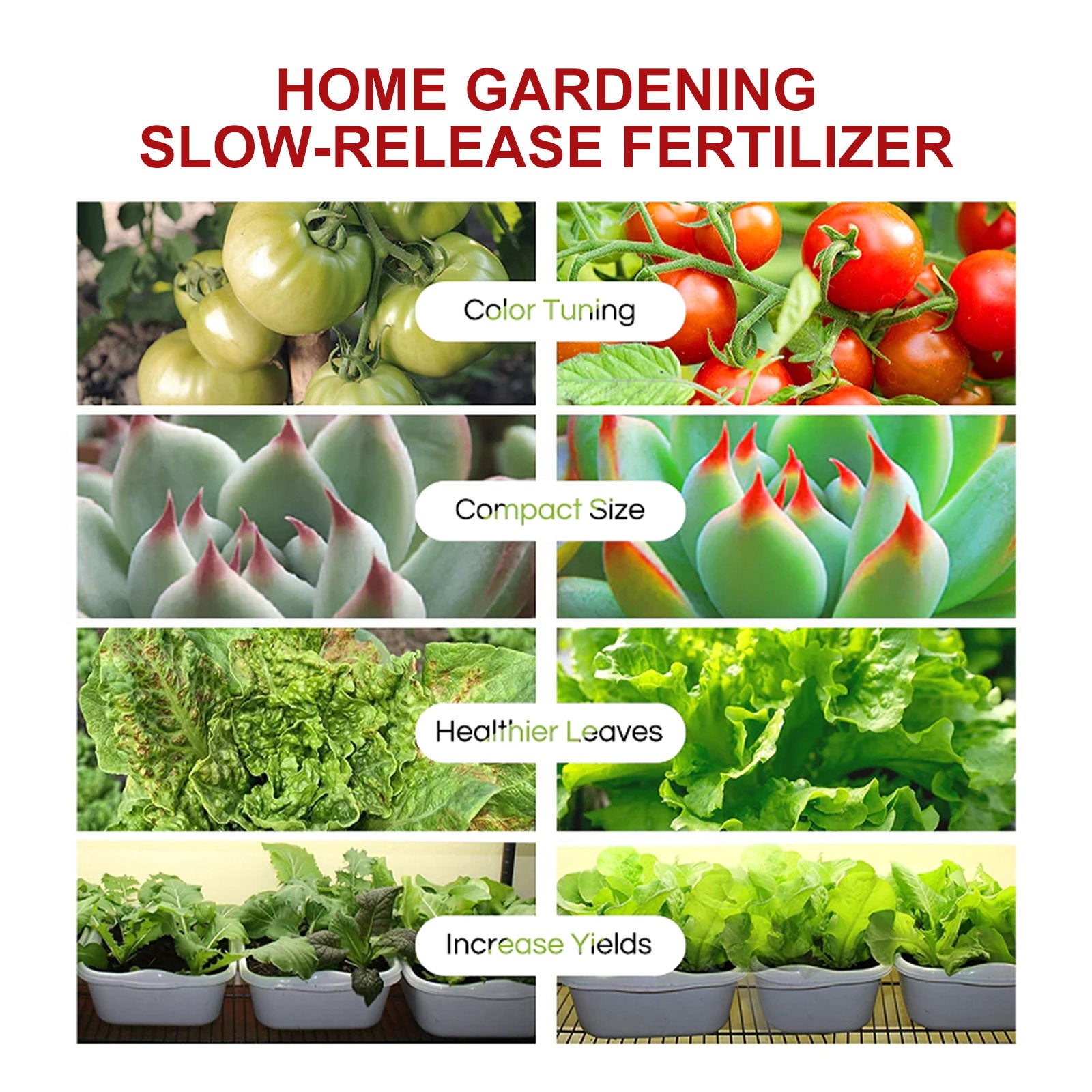 Plant Root Growth Nutrition Tablets