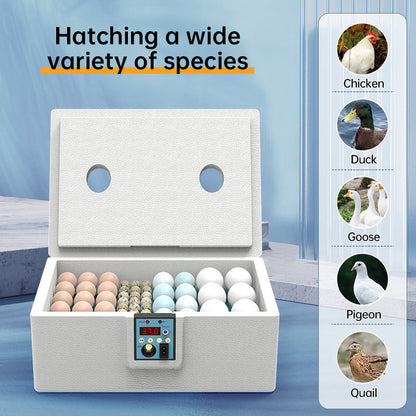 24 - hr Thermostatic Small Poultry Incubator. Biomimetic Waterbed. Auto &amp; Smart. For Chick, Duck &amp; Goose Eggs