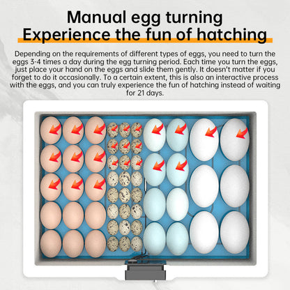 24 - hr Thermostatic Small Poultry Incubator. Biomimetic Waterbed. Auto &amp; Smart. For Chick, Duck &amp; Goose Eggs