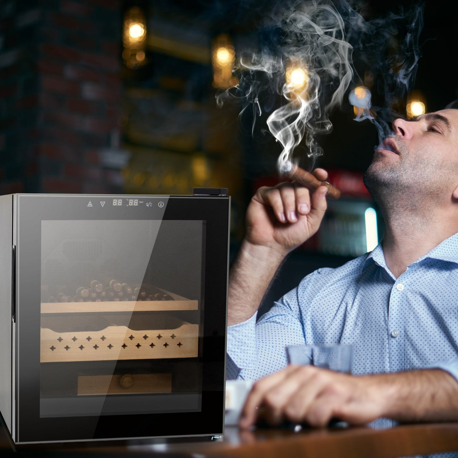 50L Cigar Humidors with 3-IN-1 Cooling, Heating &amp; Humidity Control, 250 Counts Capacity Cigar Humidor Humidifiers with Constant Temperature Controller