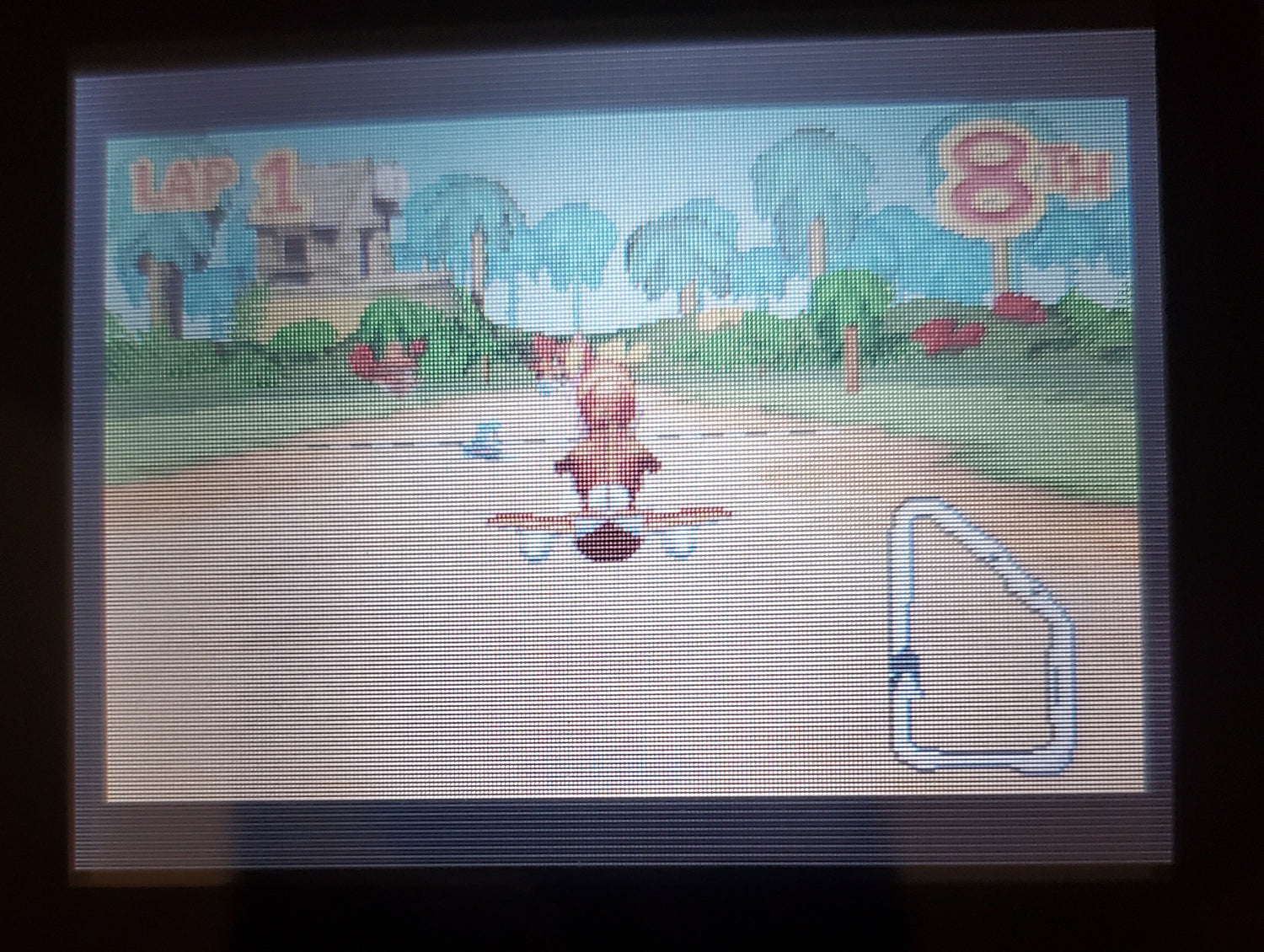 Diddy Kong Pilot GBA Video Game Boy Advance Nintendo