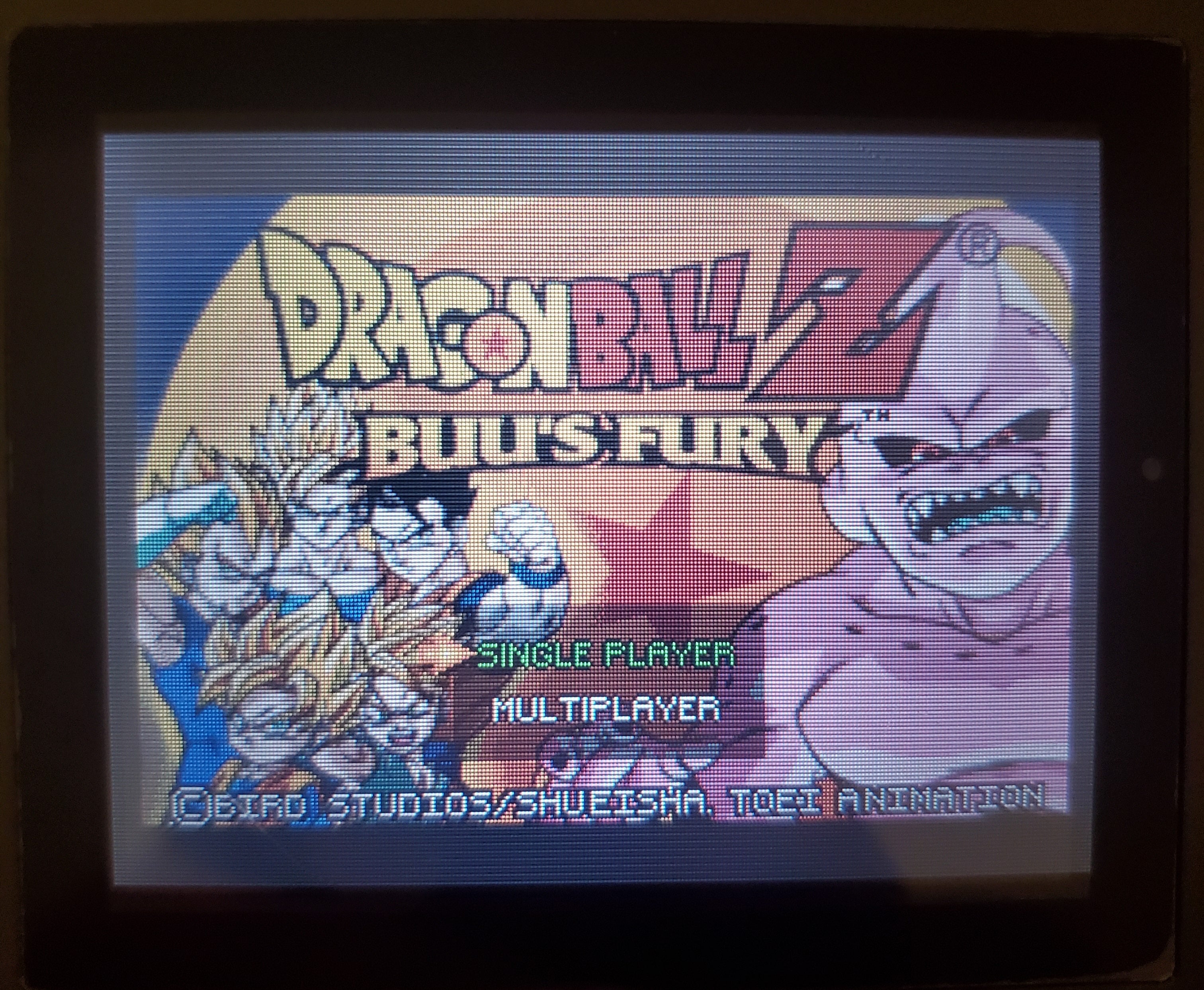 Dragon Ball Z: Buu&
