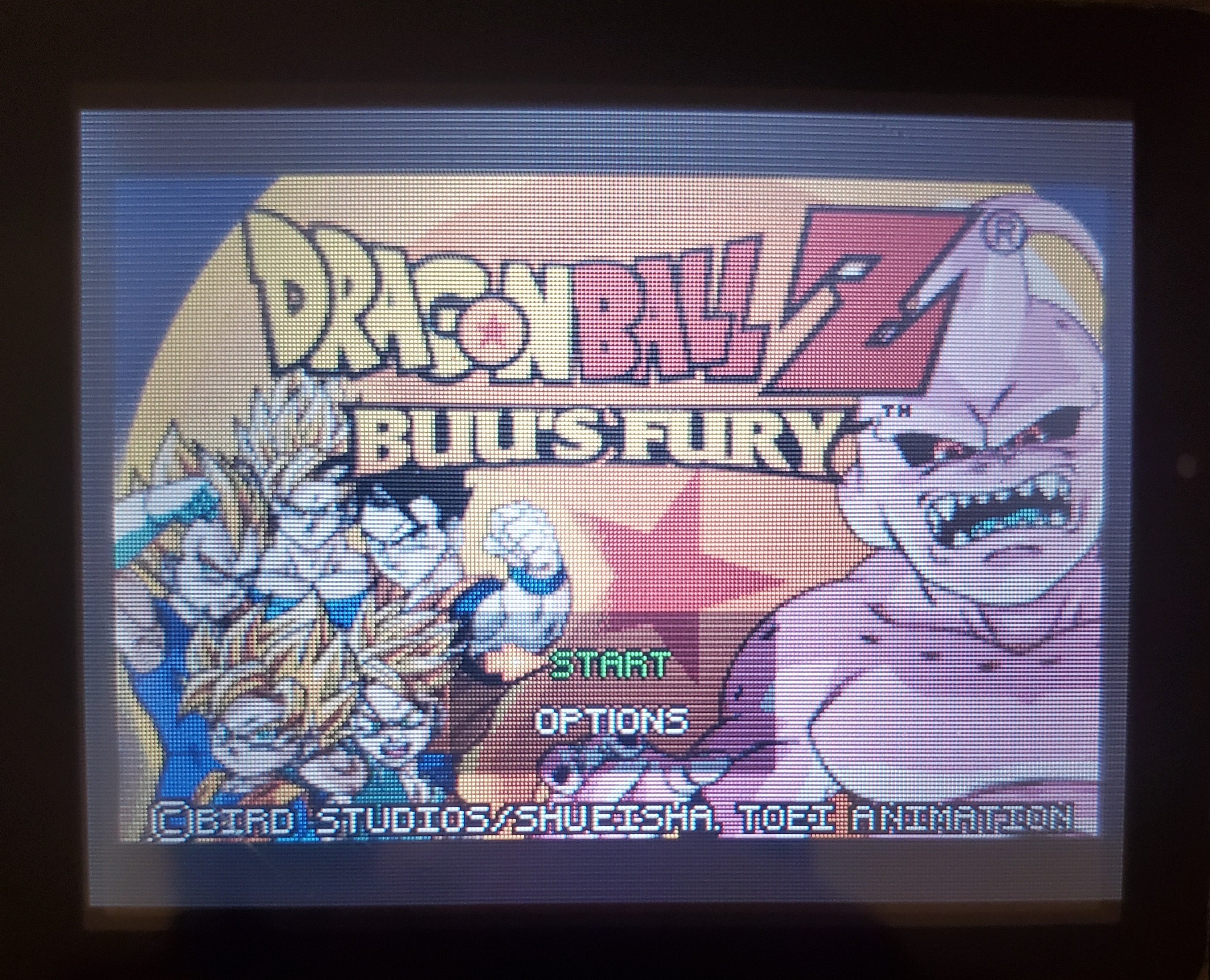 Dragon Ball Z: Buu&