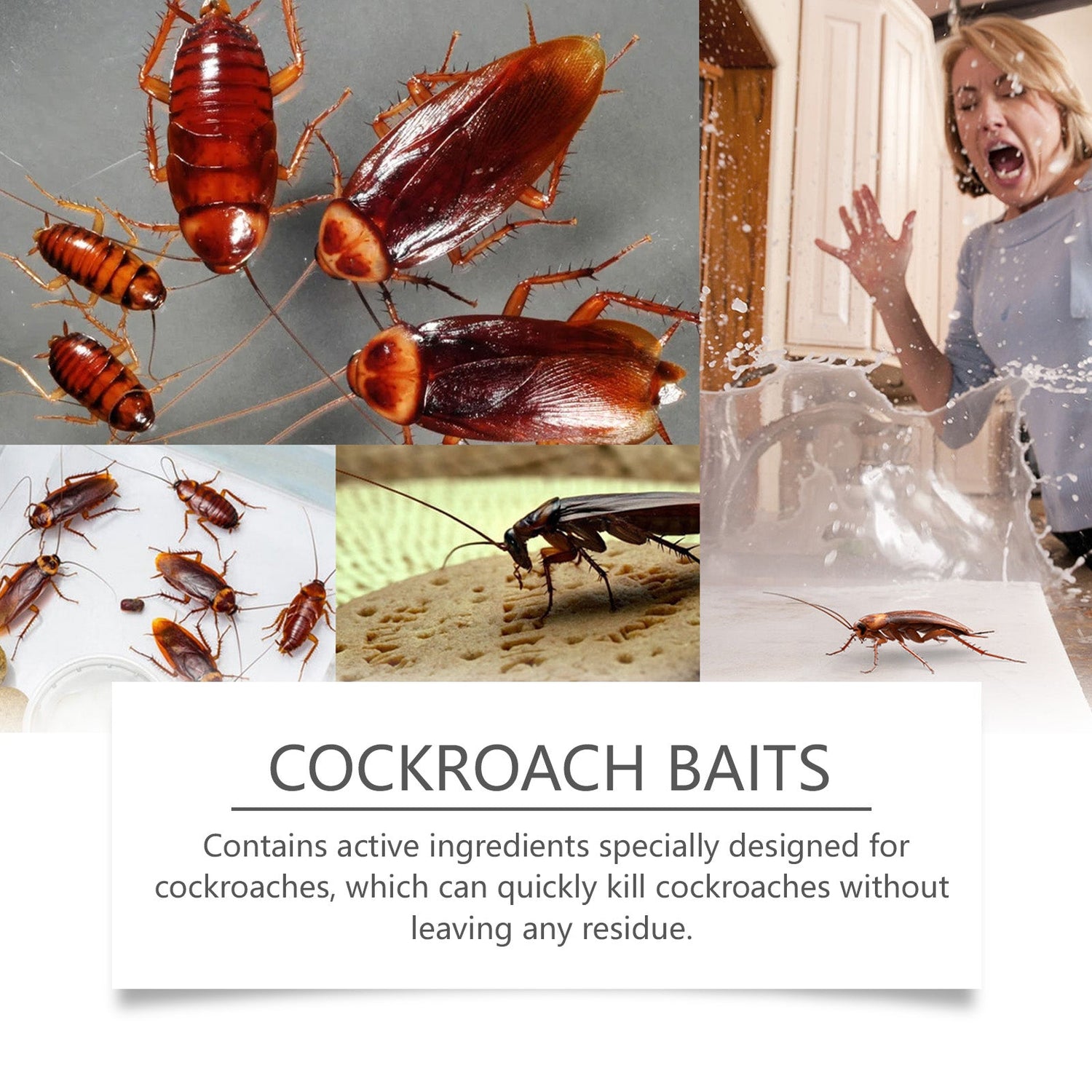 Cockroach Bait, Cockroach Home Type Effective Cockroach Kill Kitchen Cockroach Paste Cockroach Kill Glue Bait